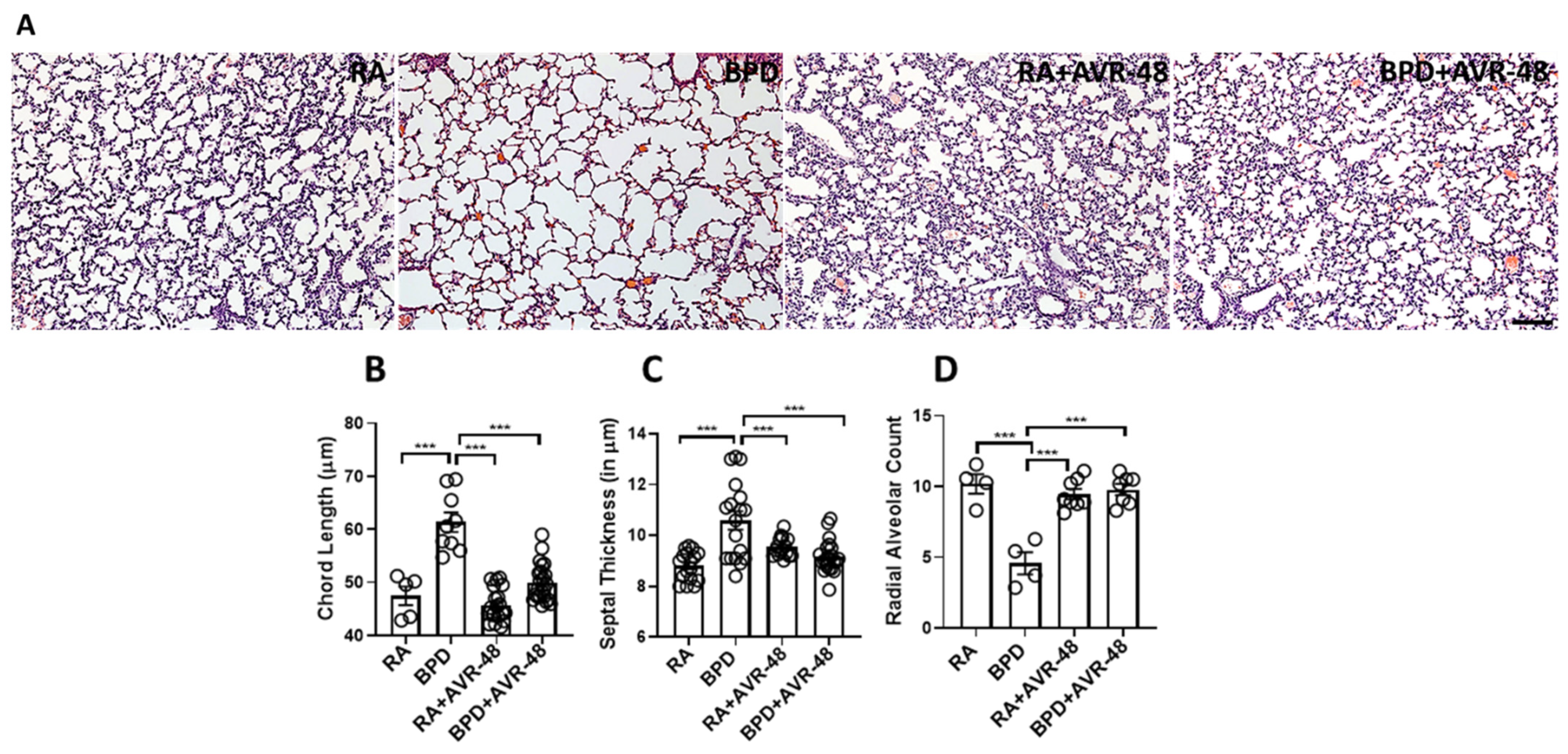 Ijms 22 08547 g002 Ijms 22 08547 g002