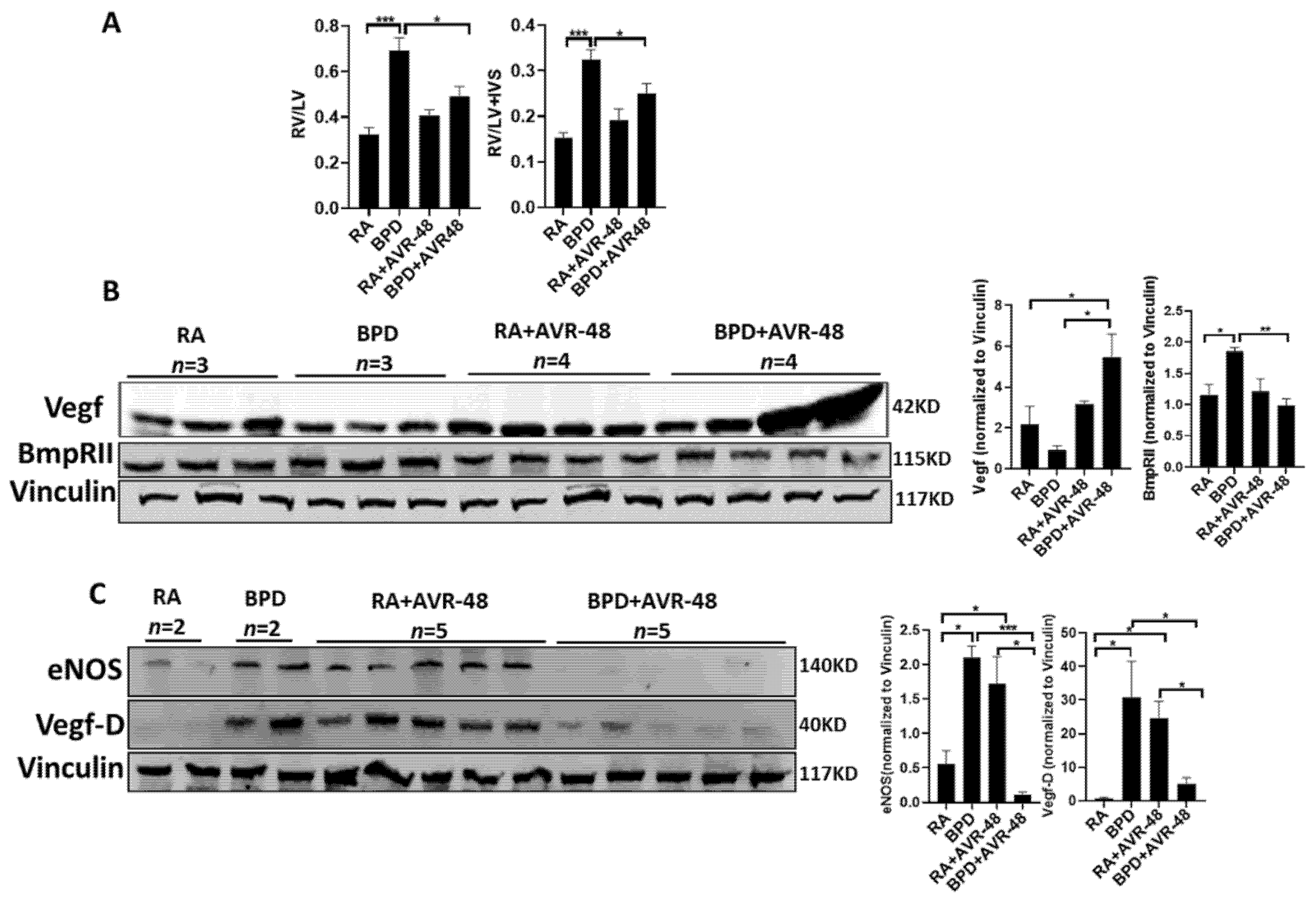 Ijms 22 08547 g008 Ijms 22 08547 g008