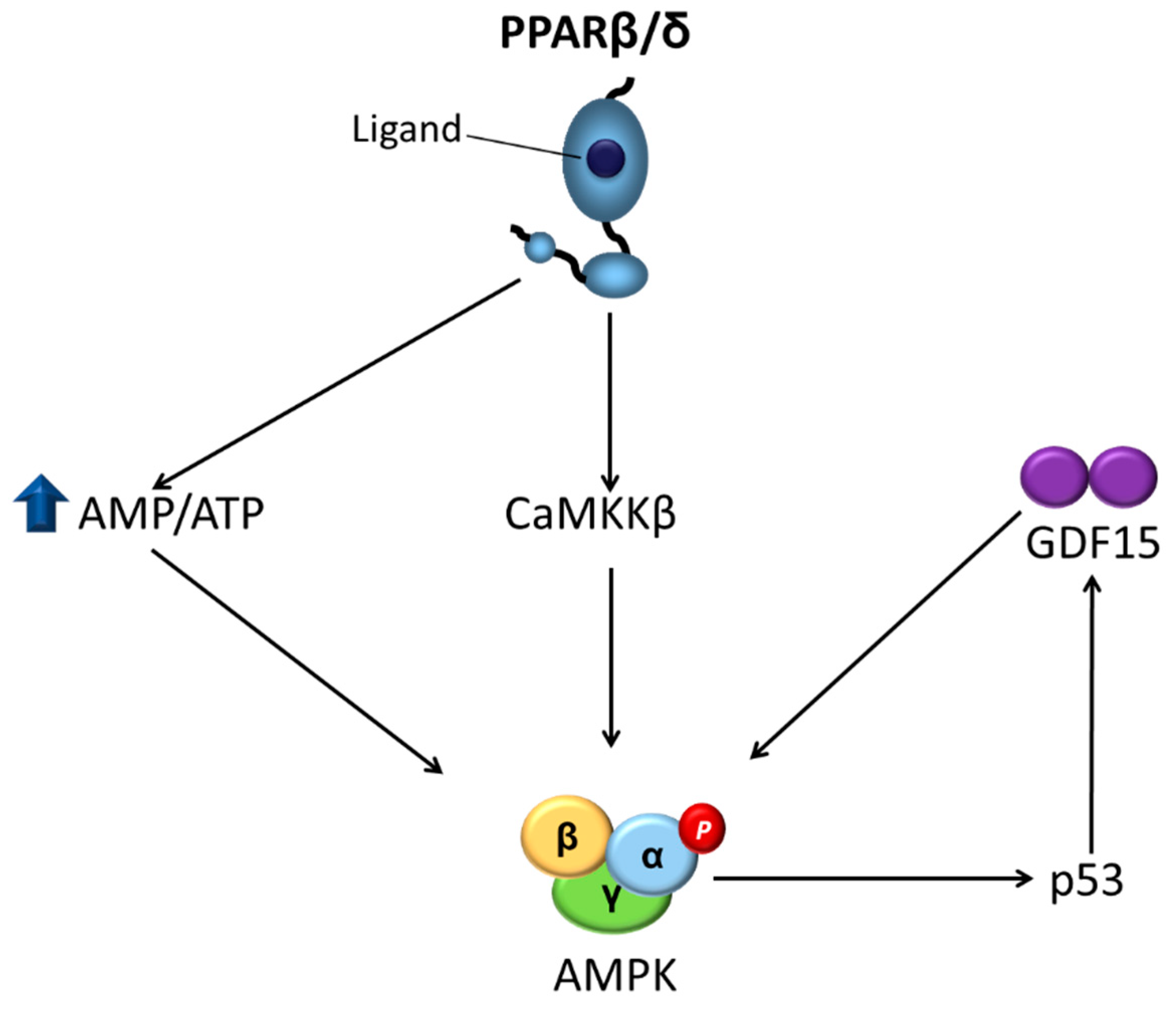 Ijms 22 08555 g003 550