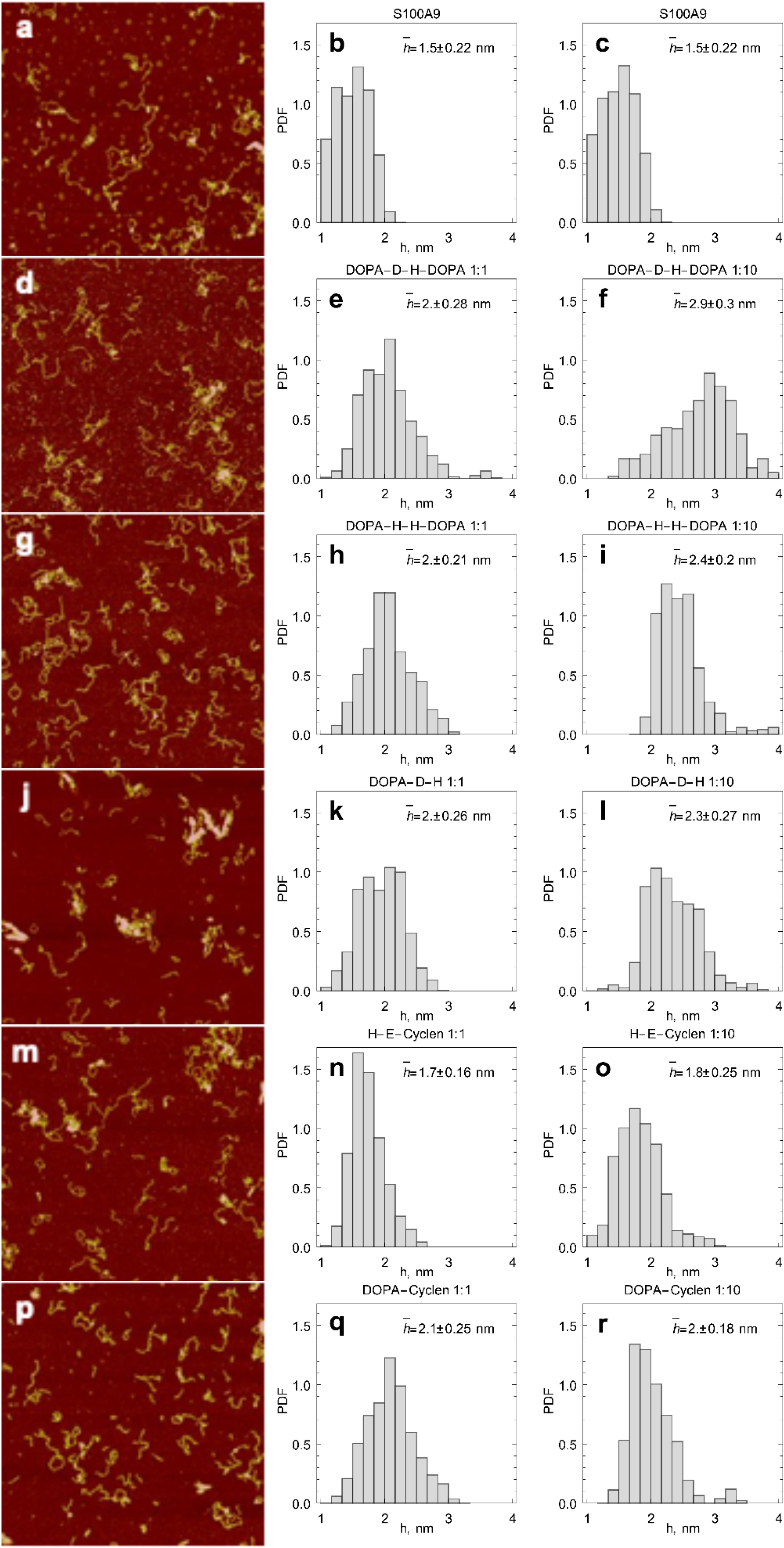 Ijms 22 08556 g003 550