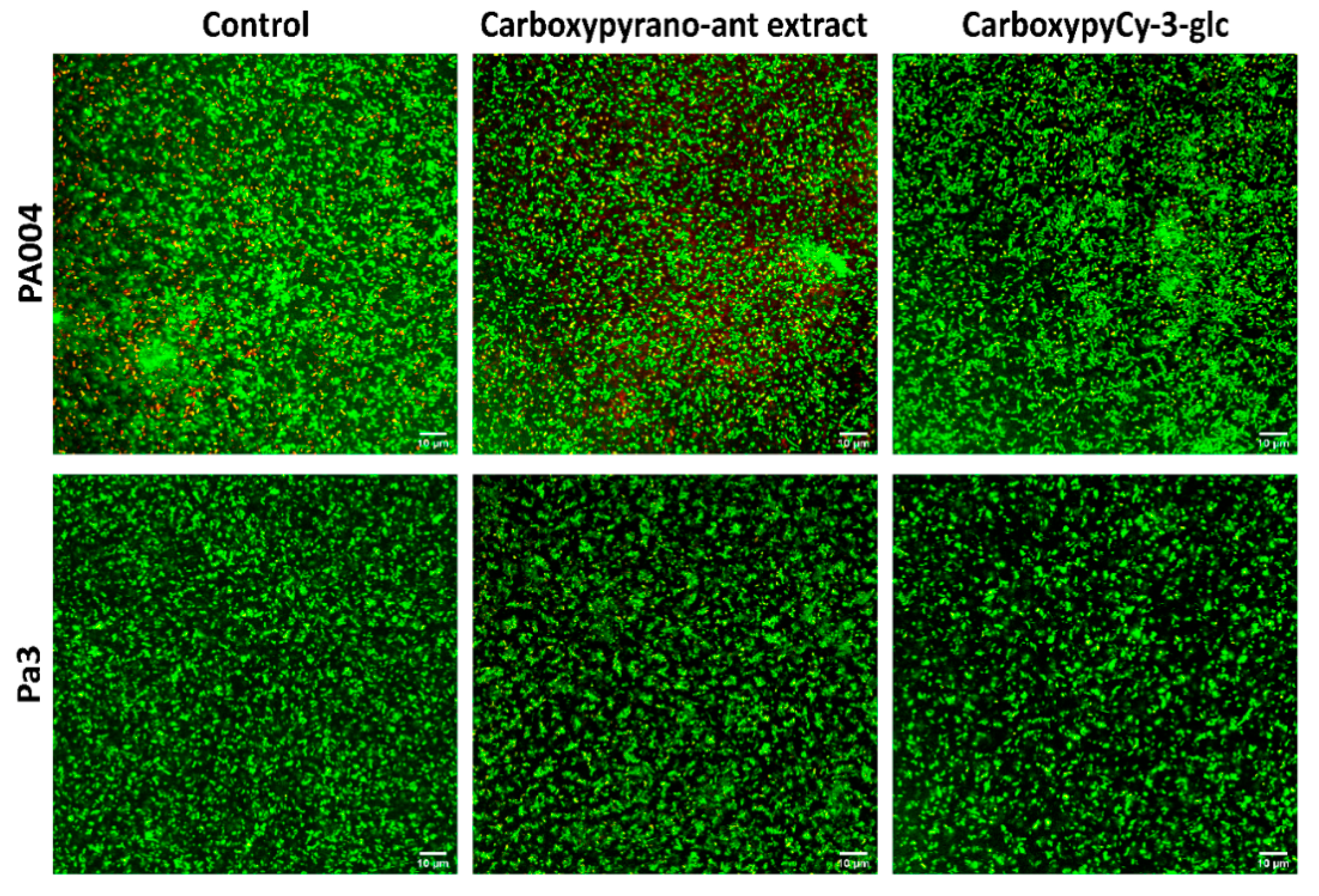 Ijms 22 08559 g002 550