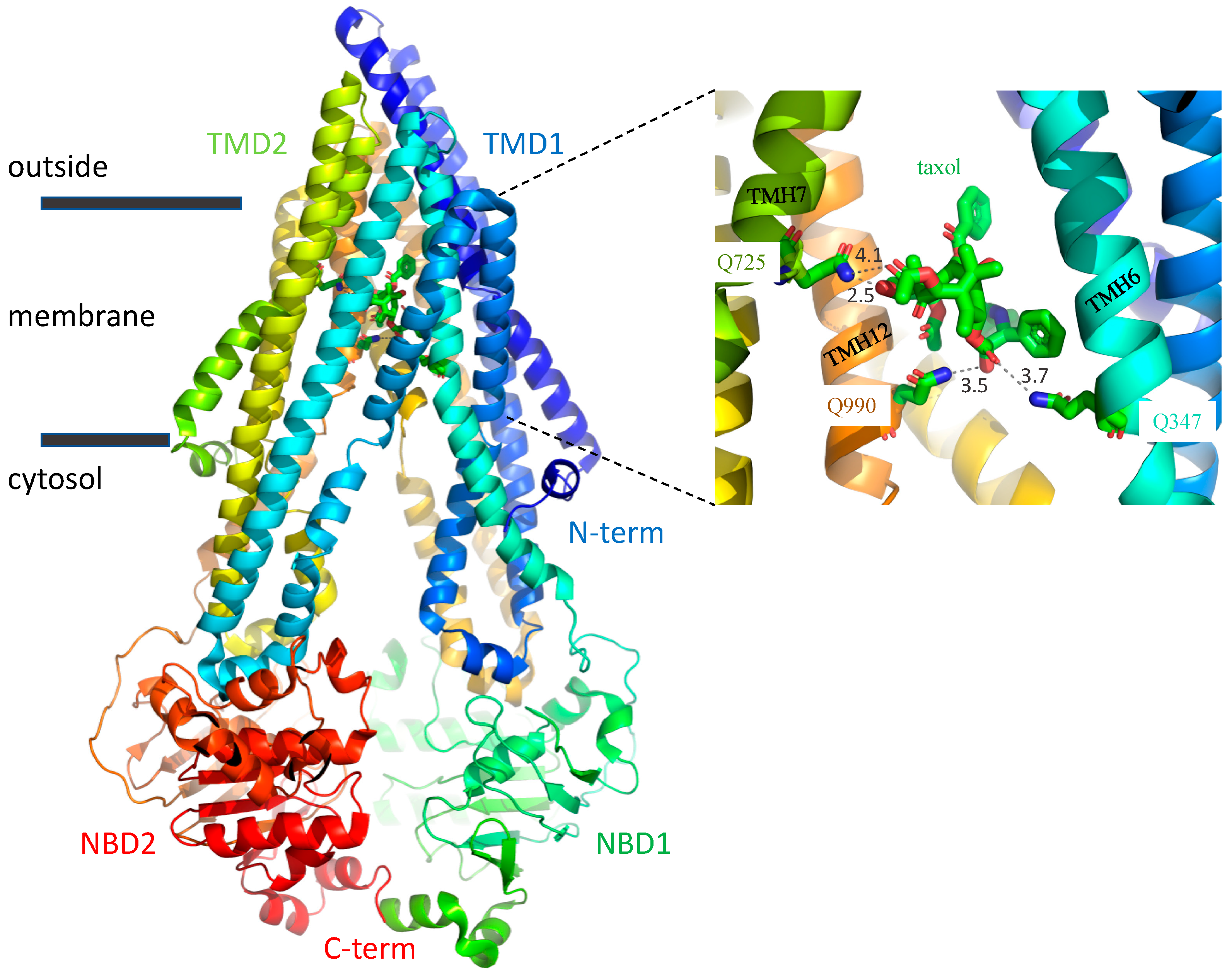 Ijms 22 08561 g001 550