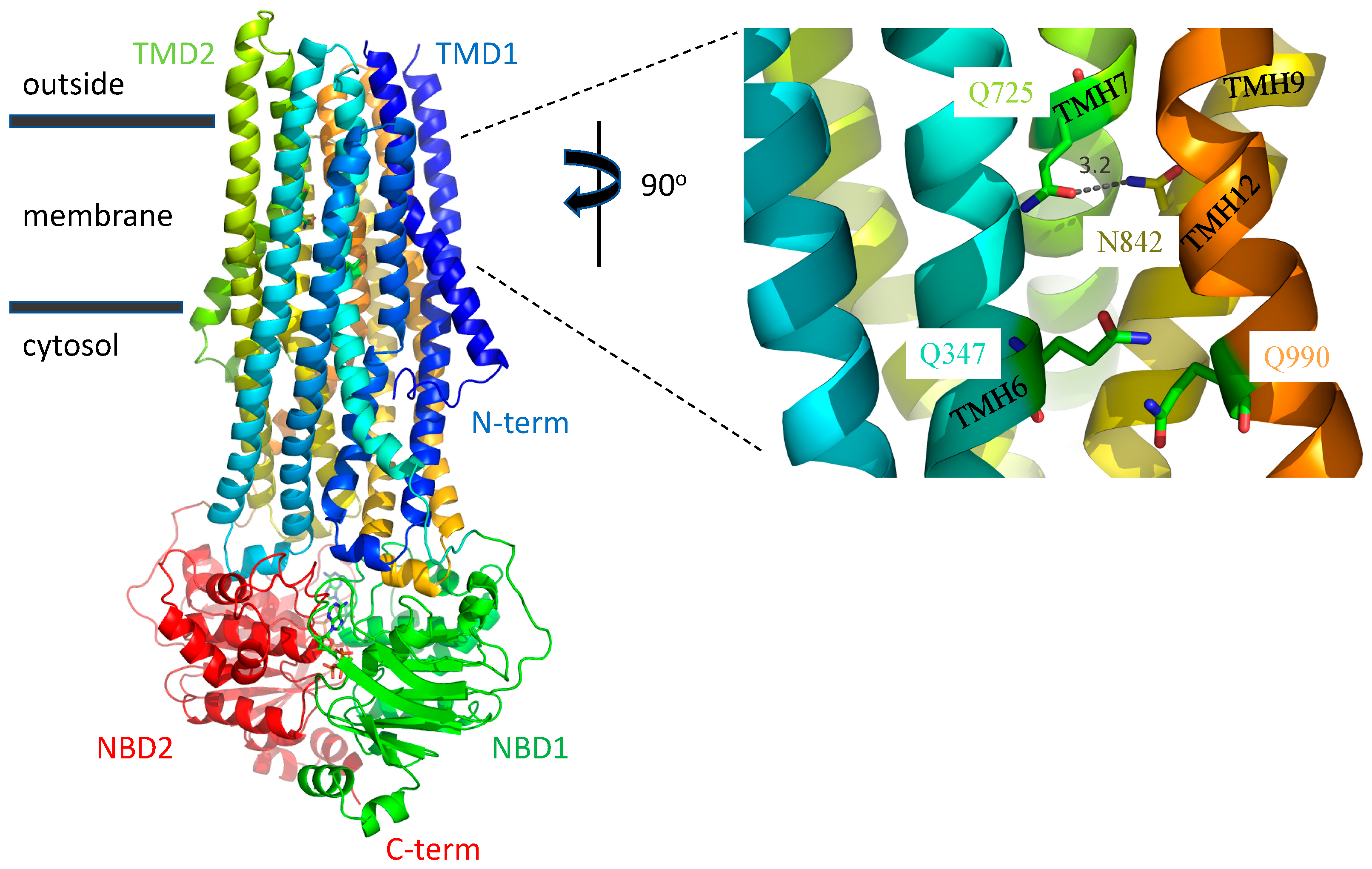 Ijms 22 08561 g007 550