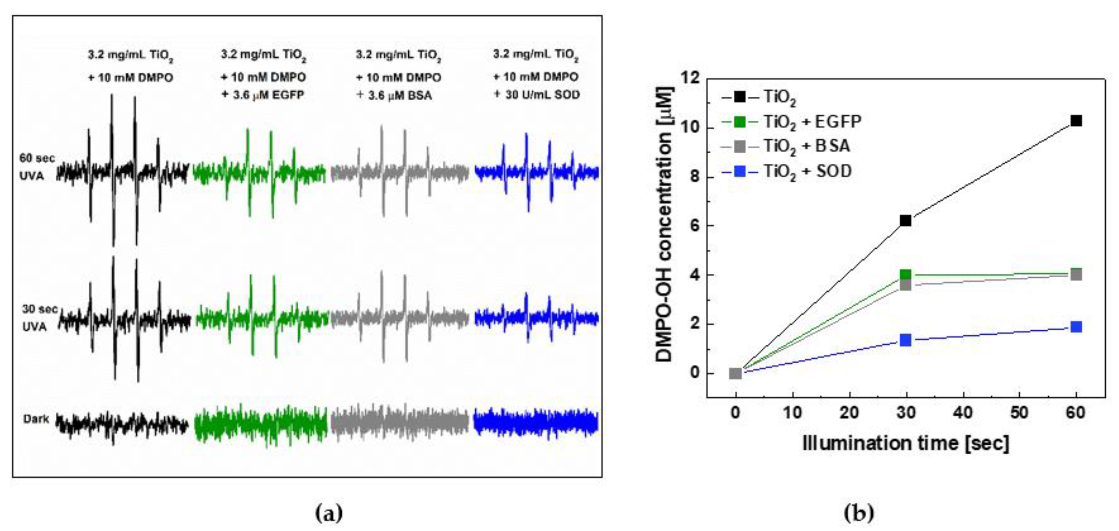 Ijms 22 08565 g005 Ijms 22 08565 g005