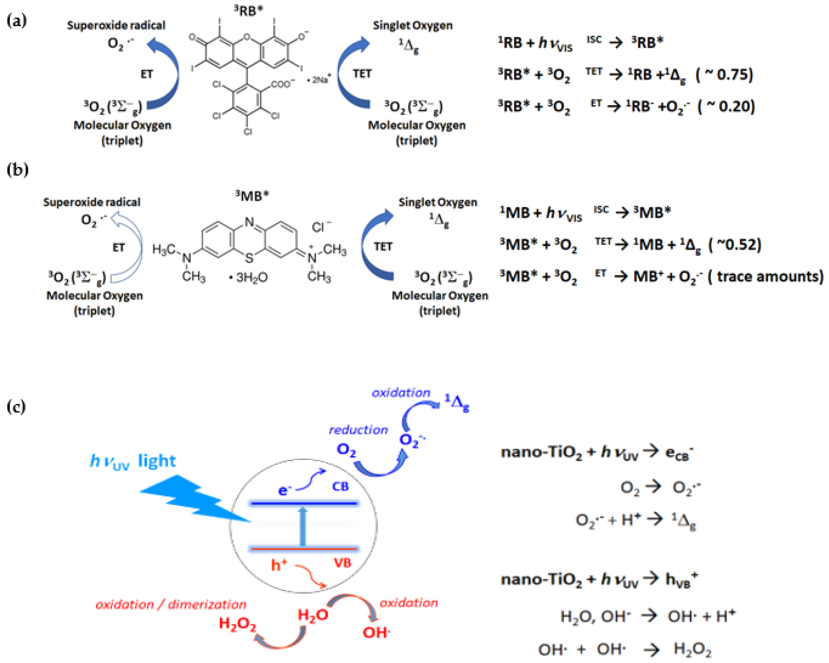 Ijms 22 08565 sch001 Ijms 22 08565 sch001