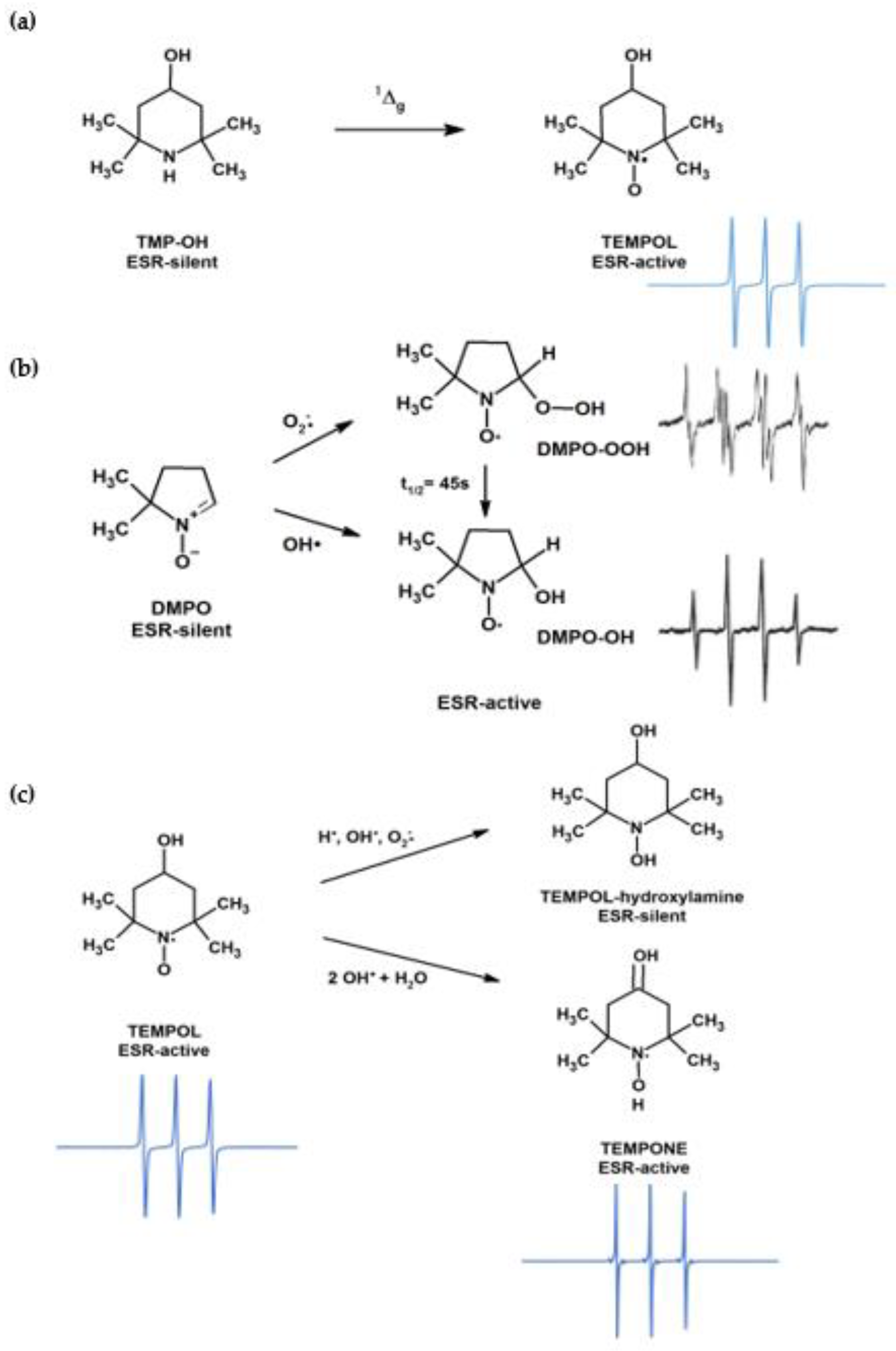 Ijms 22 08565 sch002 Ijms 22 08565 sch002