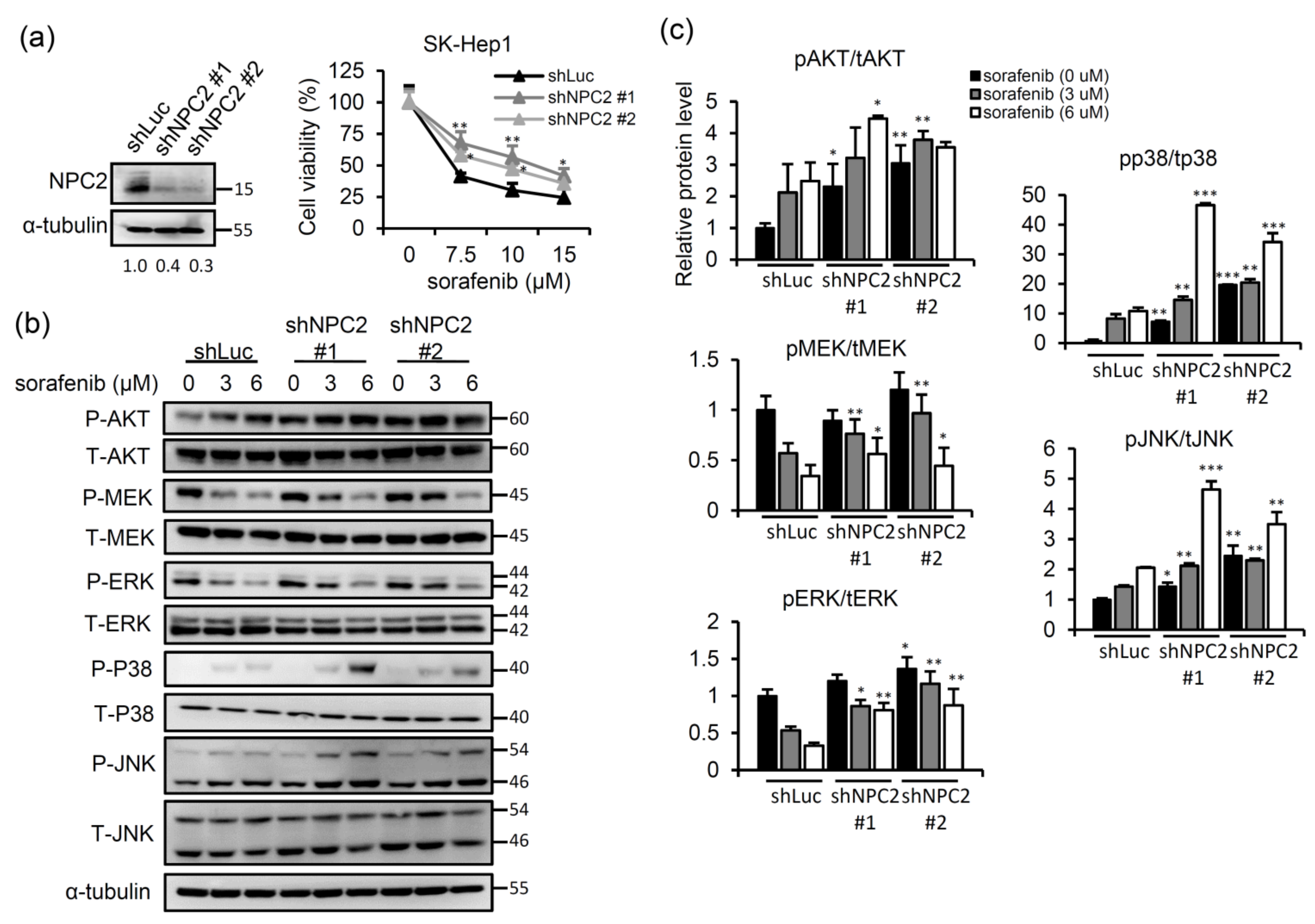 Ijms 22 08567 g001 550