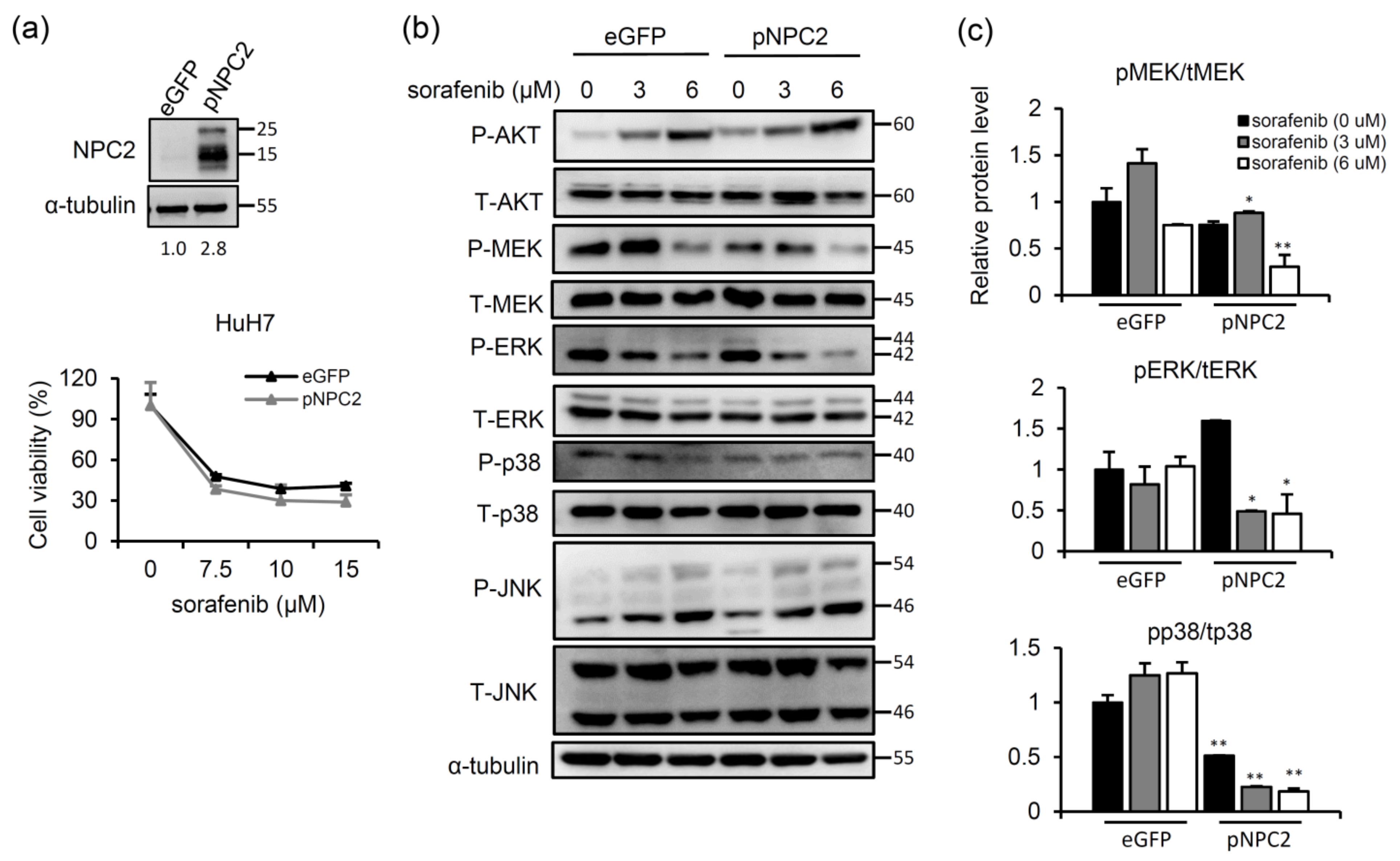Ijms 22 08567 g003 550
