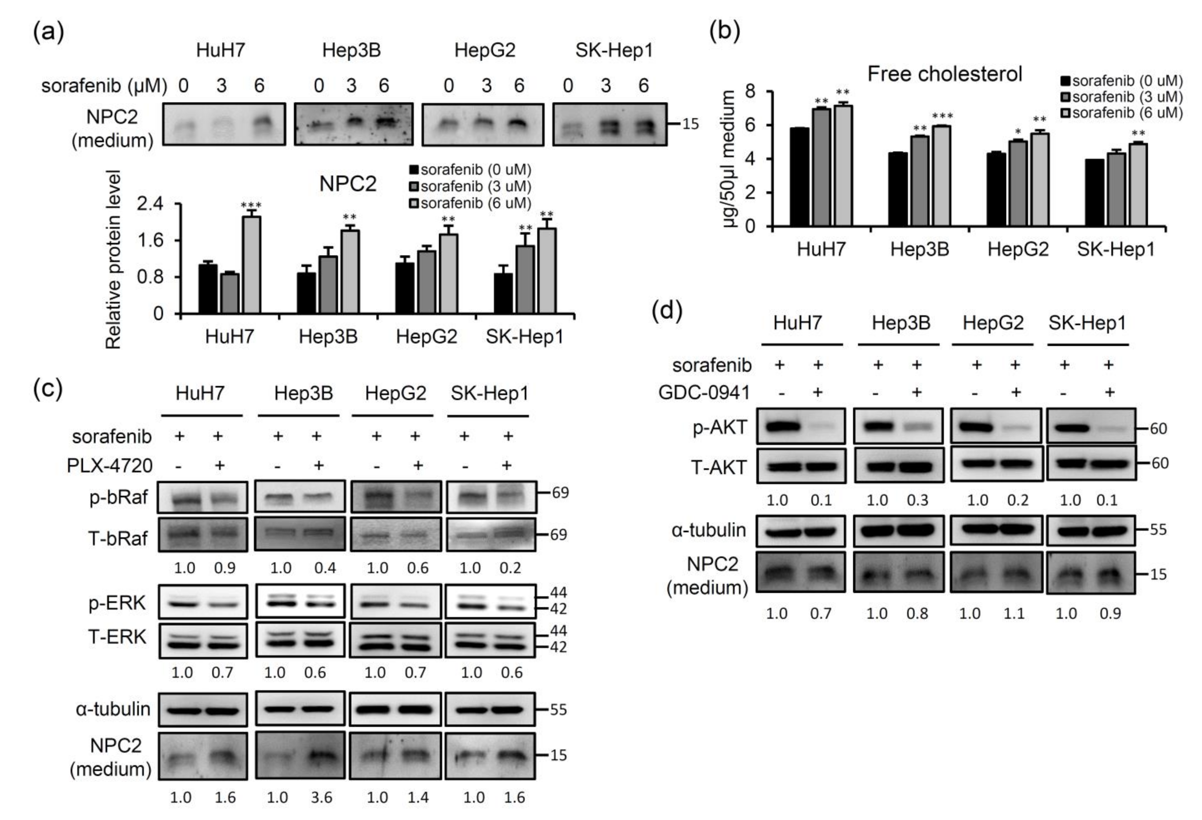 Ijms 22 08567 g005 550