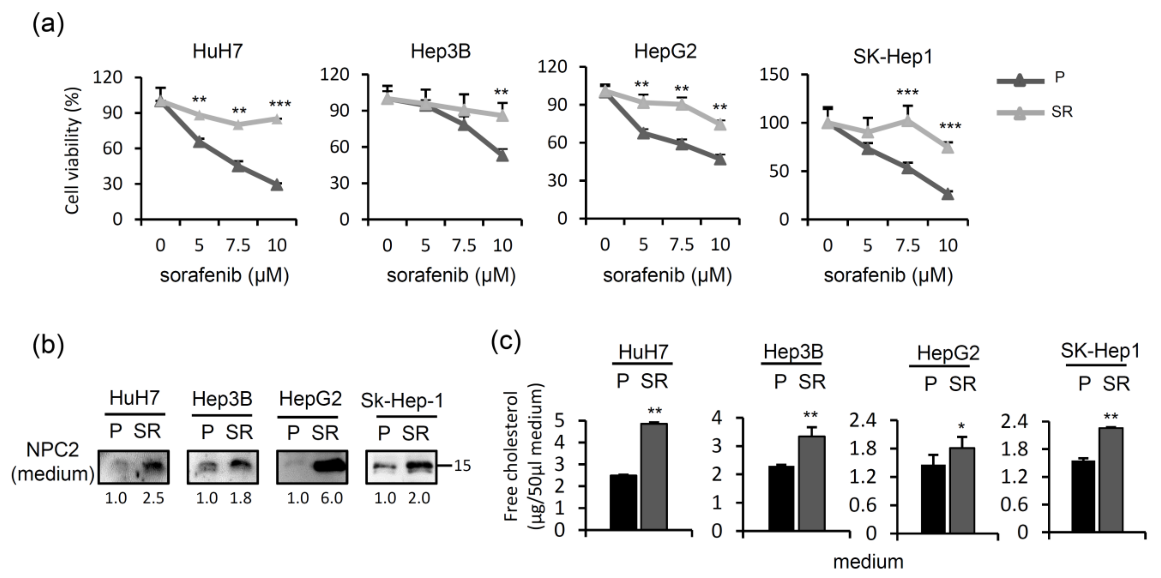 Ijms 22 08567 g006 550