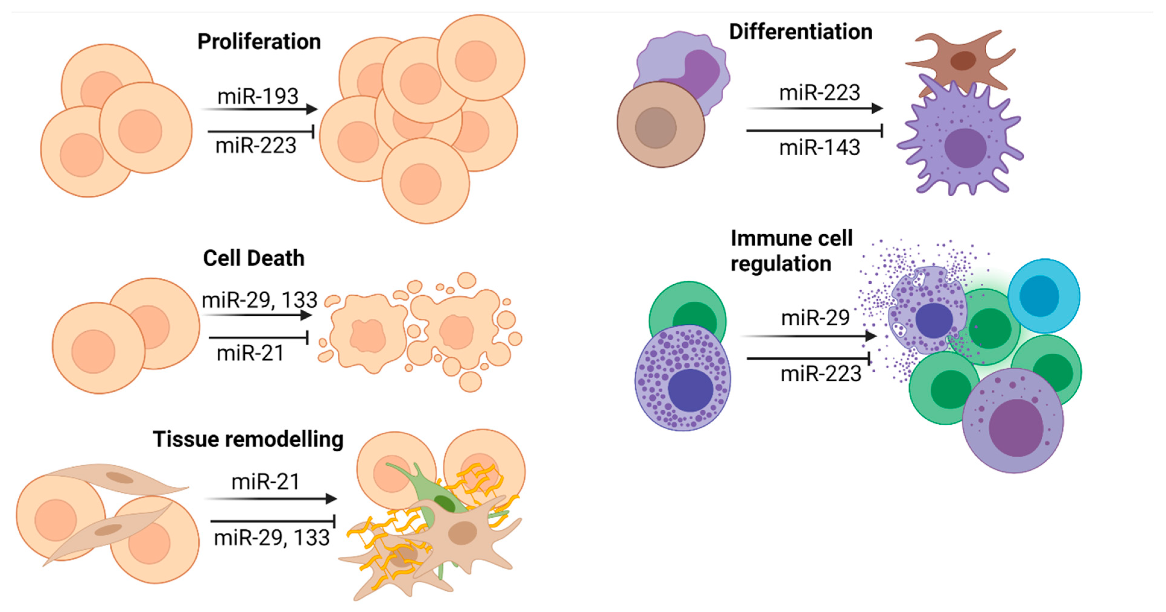 Ijms 22 08569 g002 550