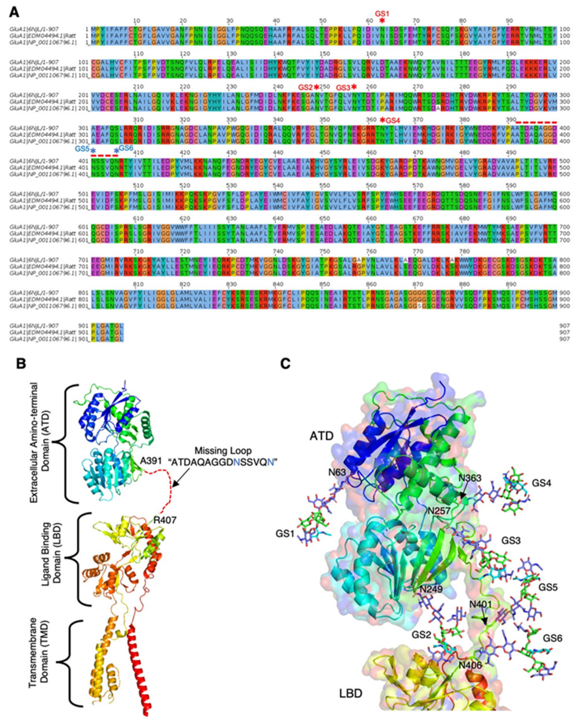 Ijms 22 08579 g005 550