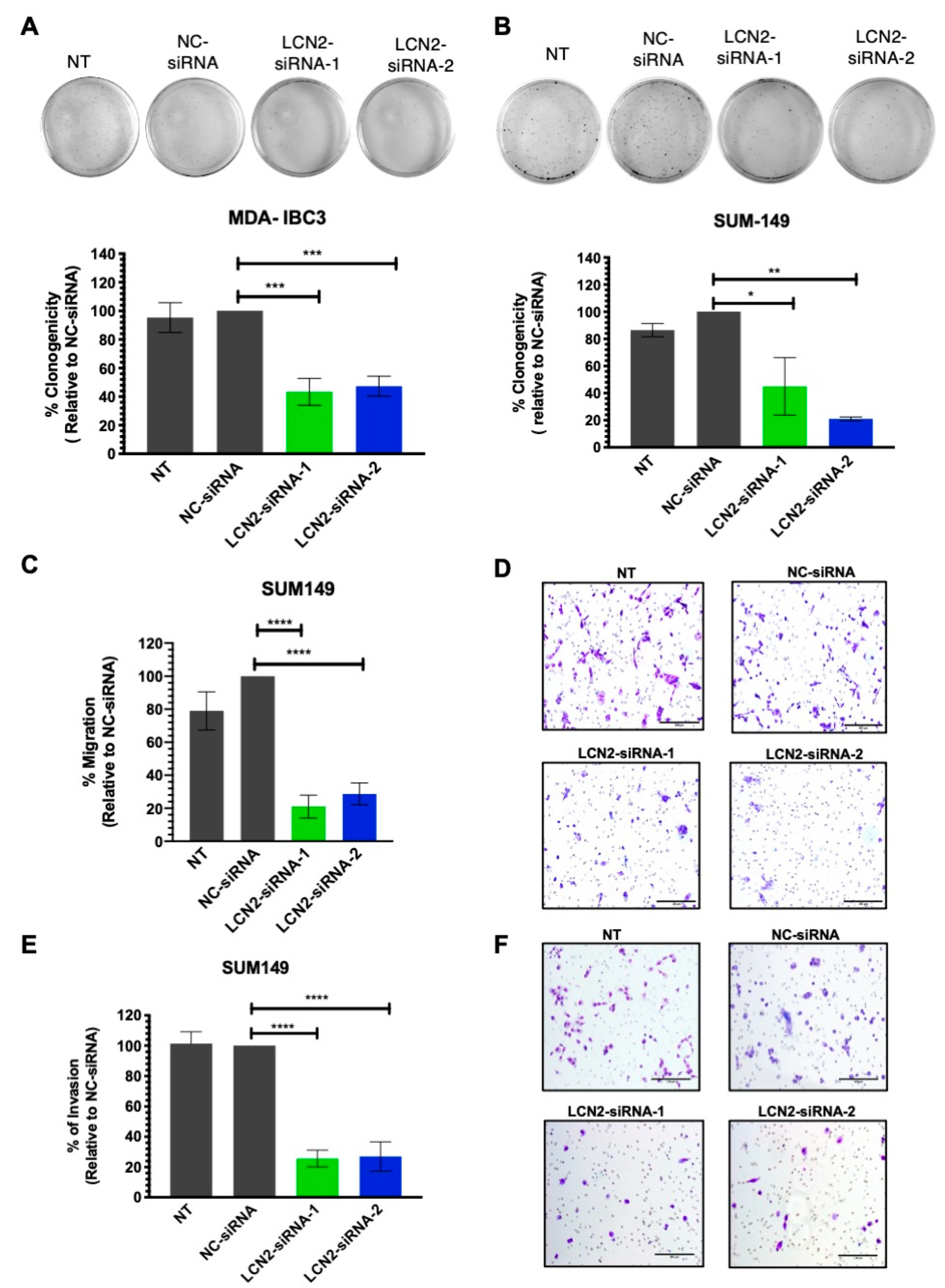 Ijms 22 08581 g002 Ijms 22 08581 g002