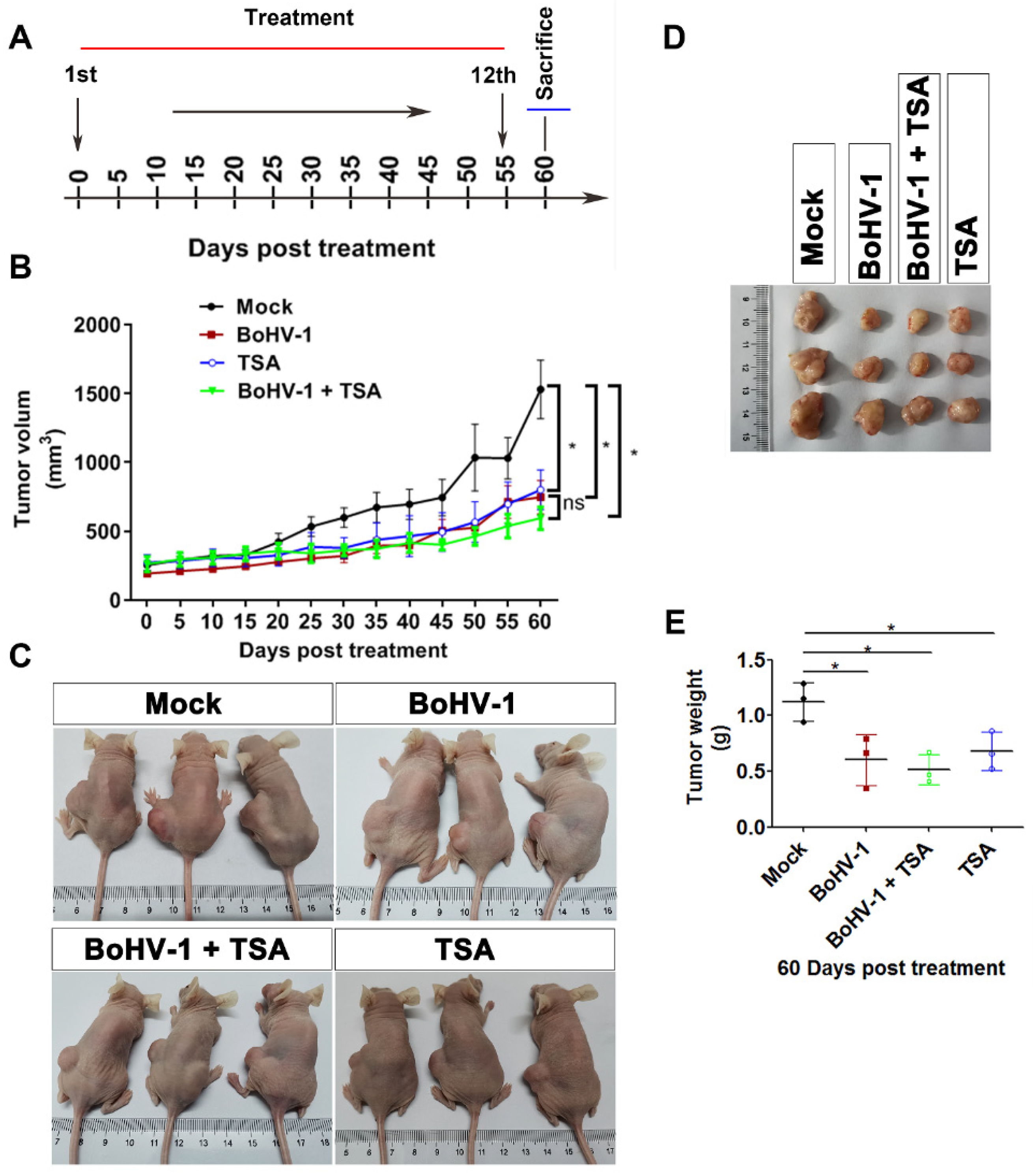 Ijms 22 08582 g005 550