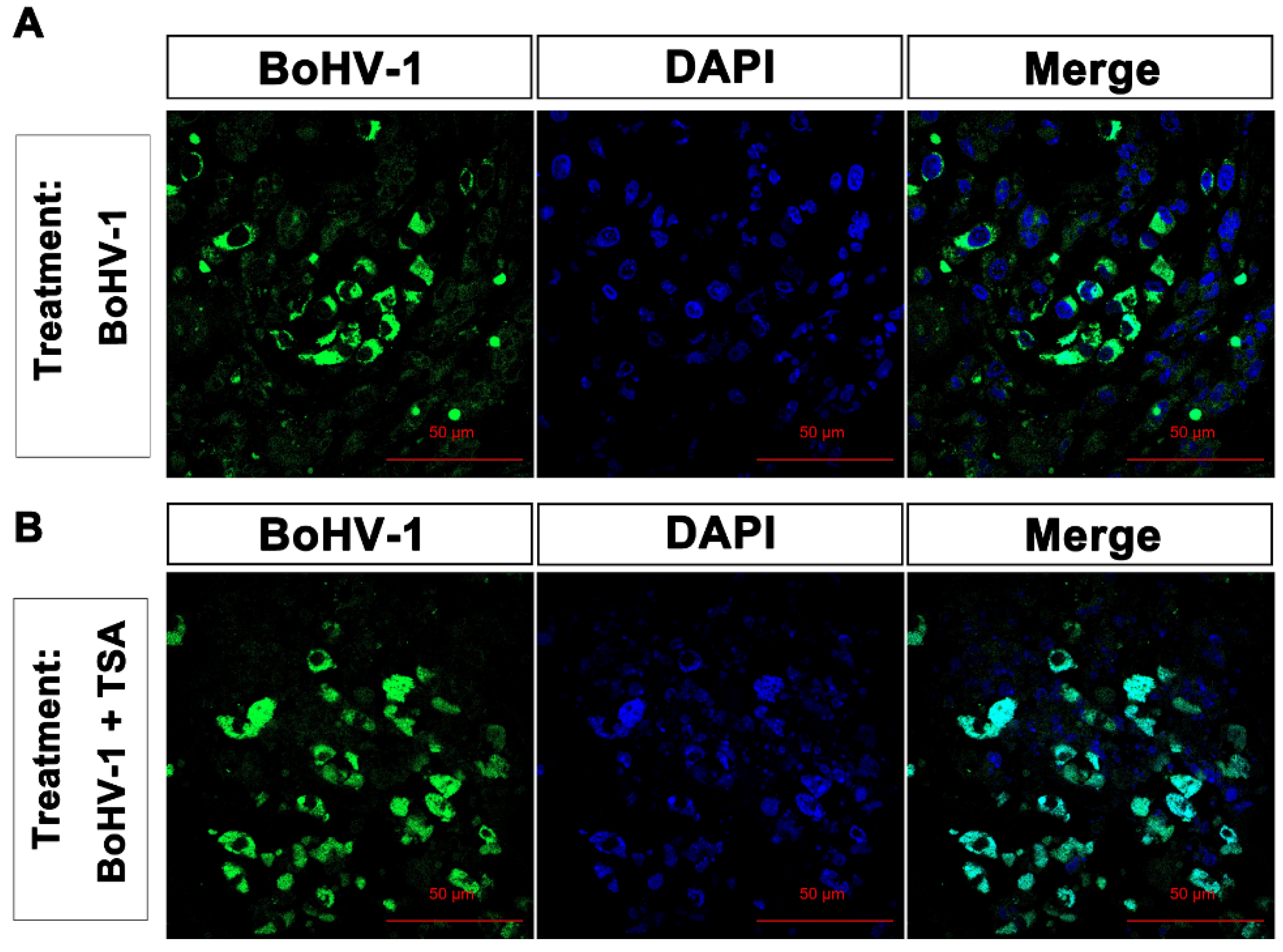 Ijms 22 08582 g008 550
