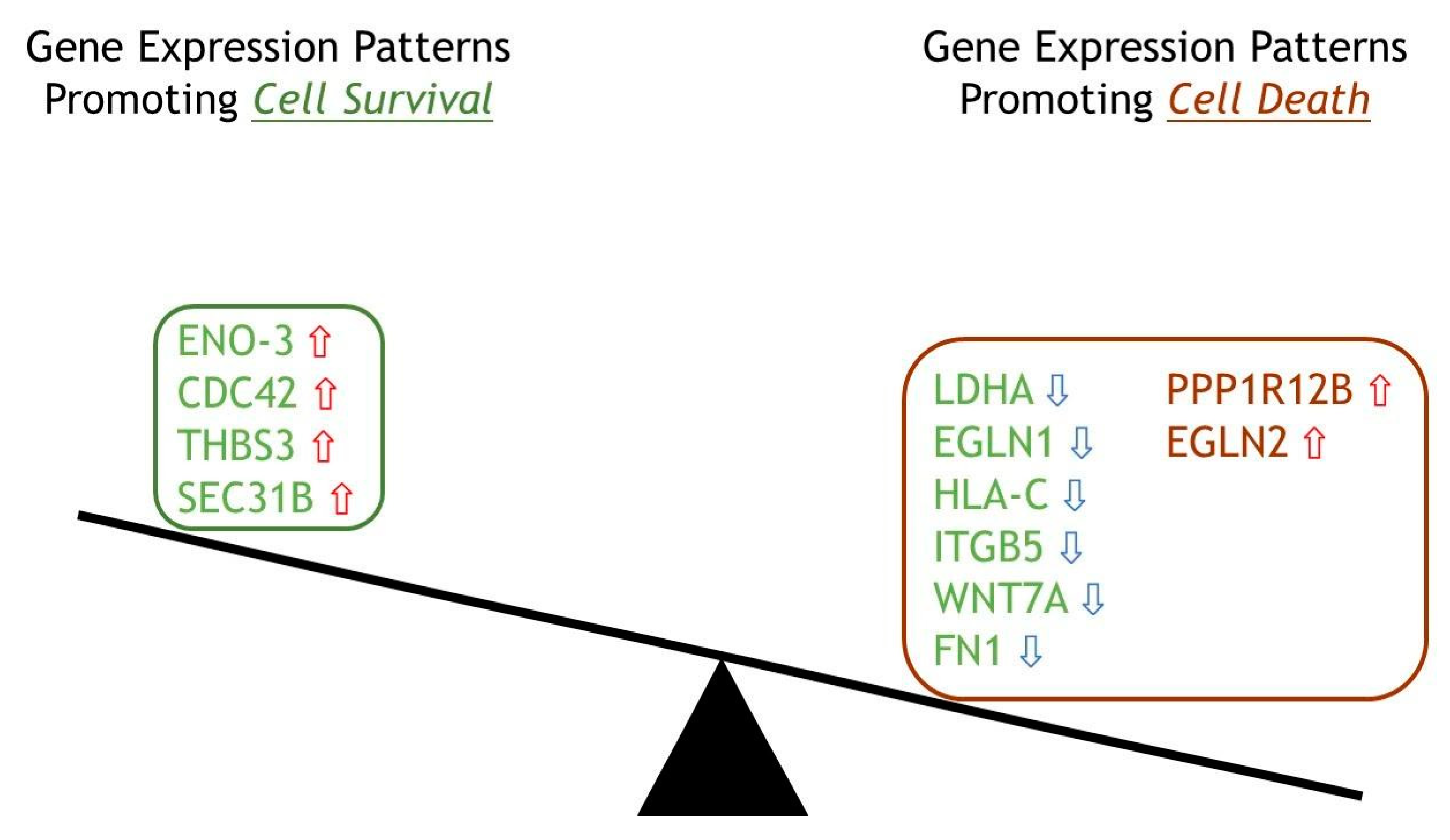 Ijms 22 08585 g005 550