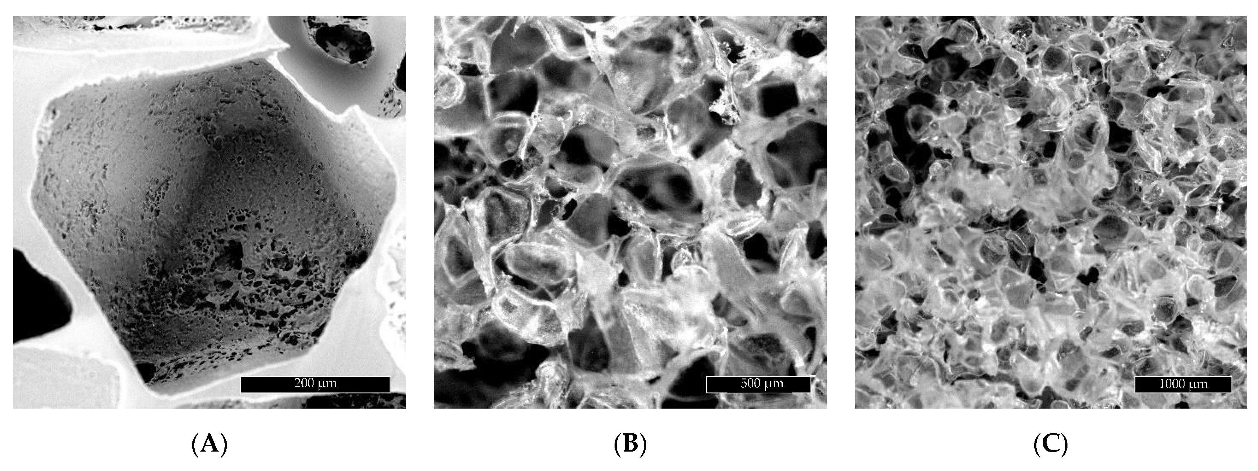 Ijms 22 08587 g001 550