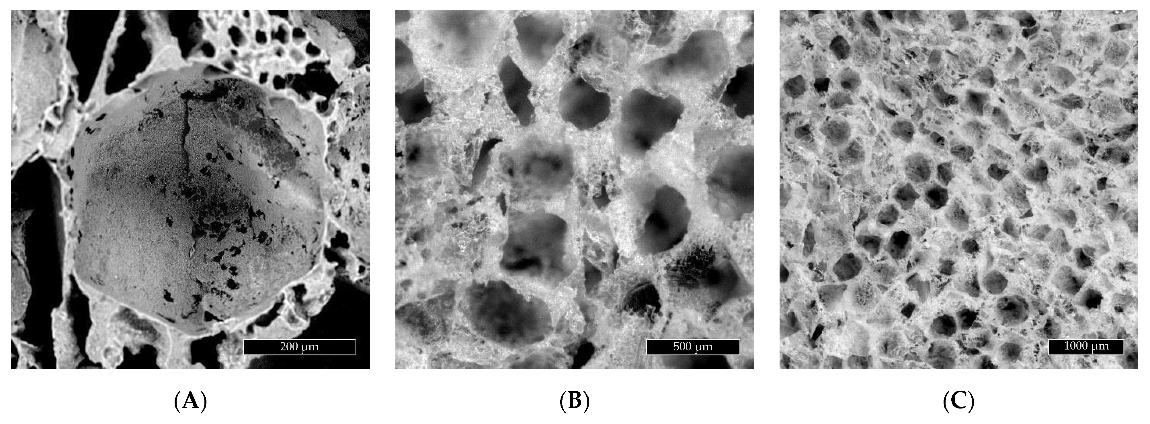 Ijms 22 08587 g002 550