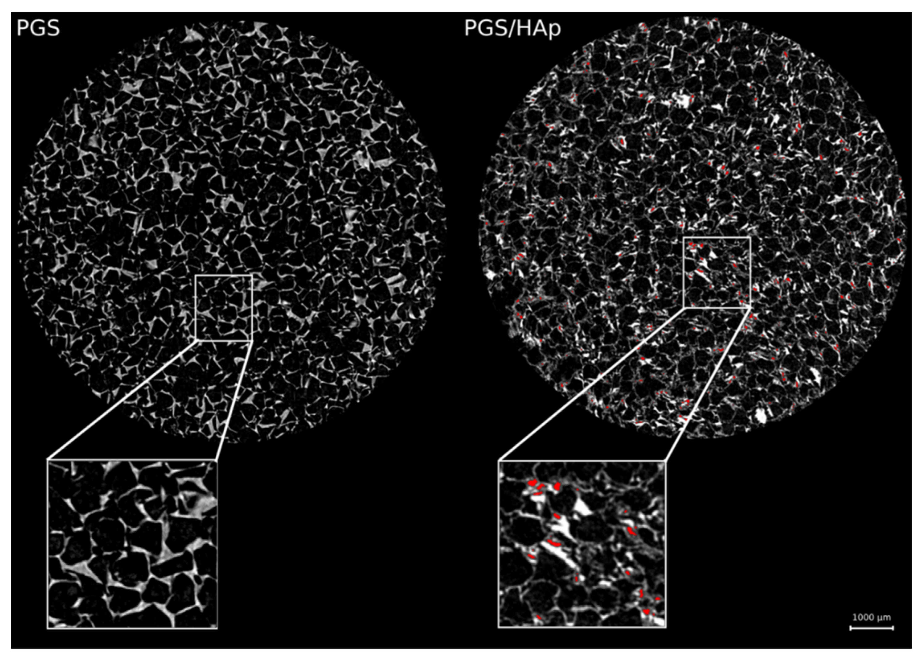 Ijms 22 08587 g003 550