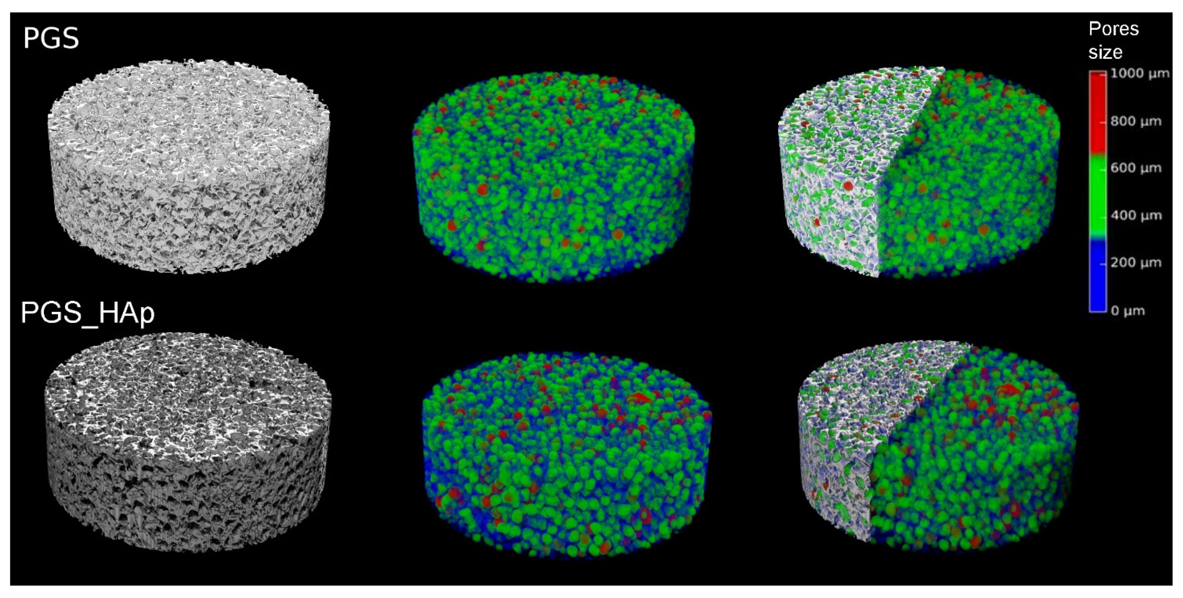 Ijms 22 08587 g004 550