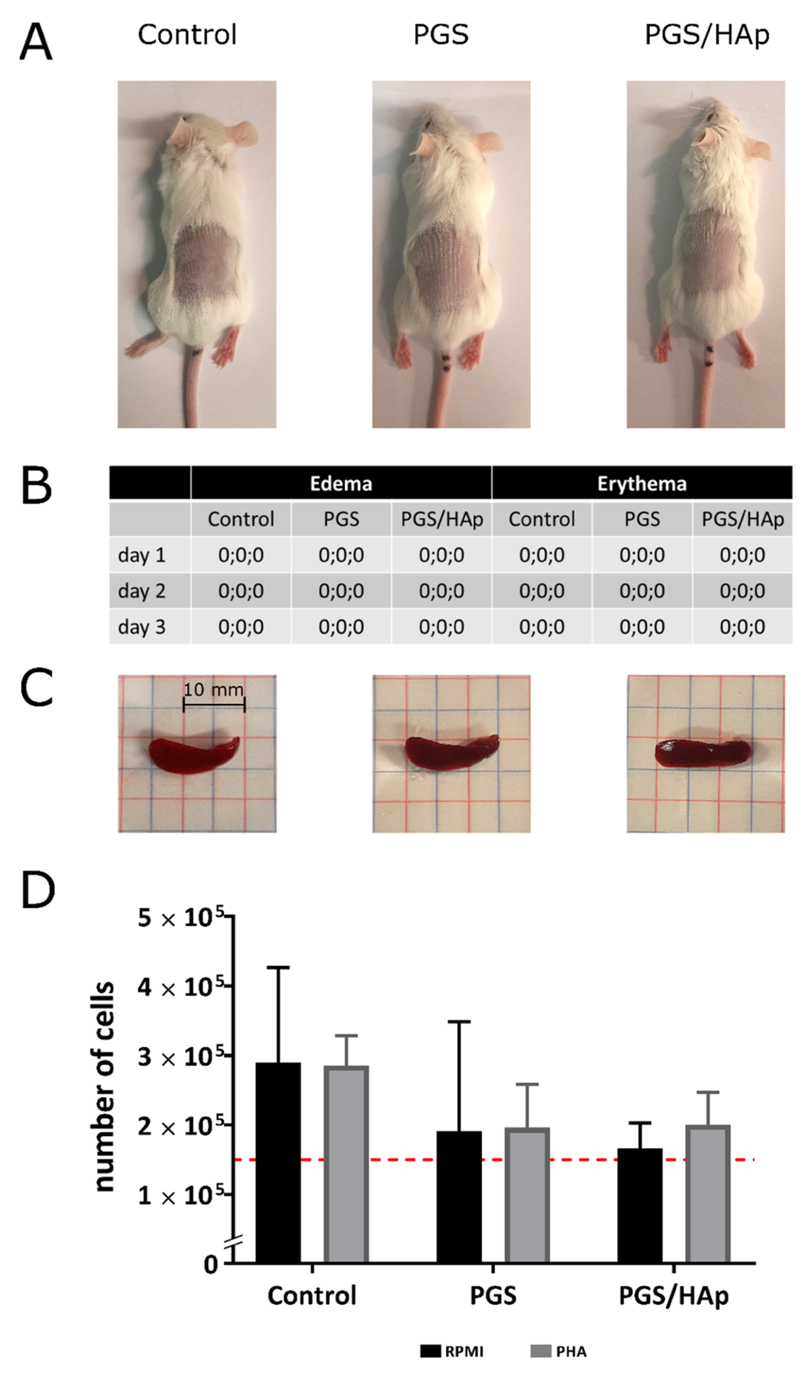 Ijms 22 08587 g013 550