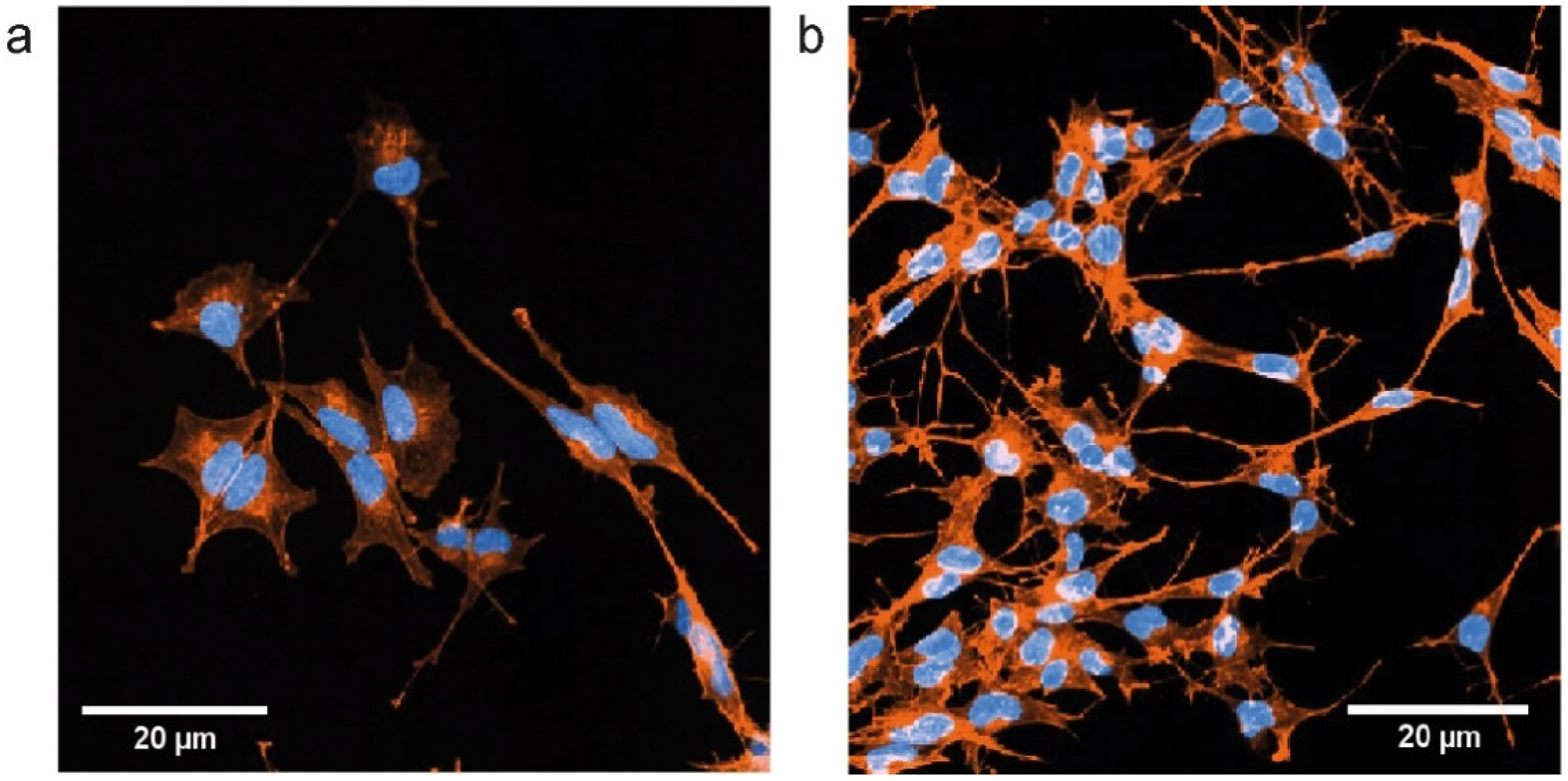 Ijms 22 08588 g004 550