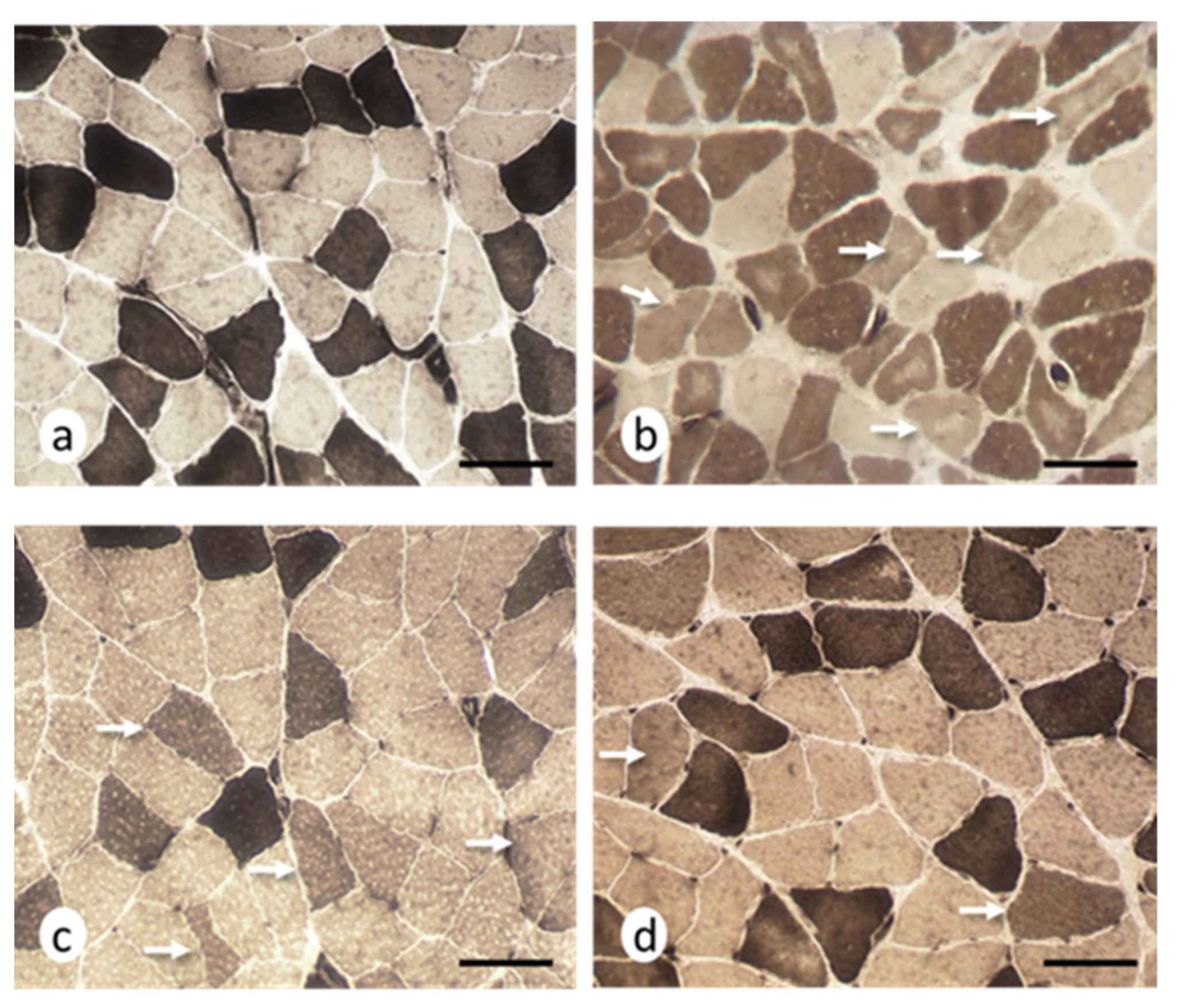 Ijms 22 08589 g003 Ijms 22 08589 g003