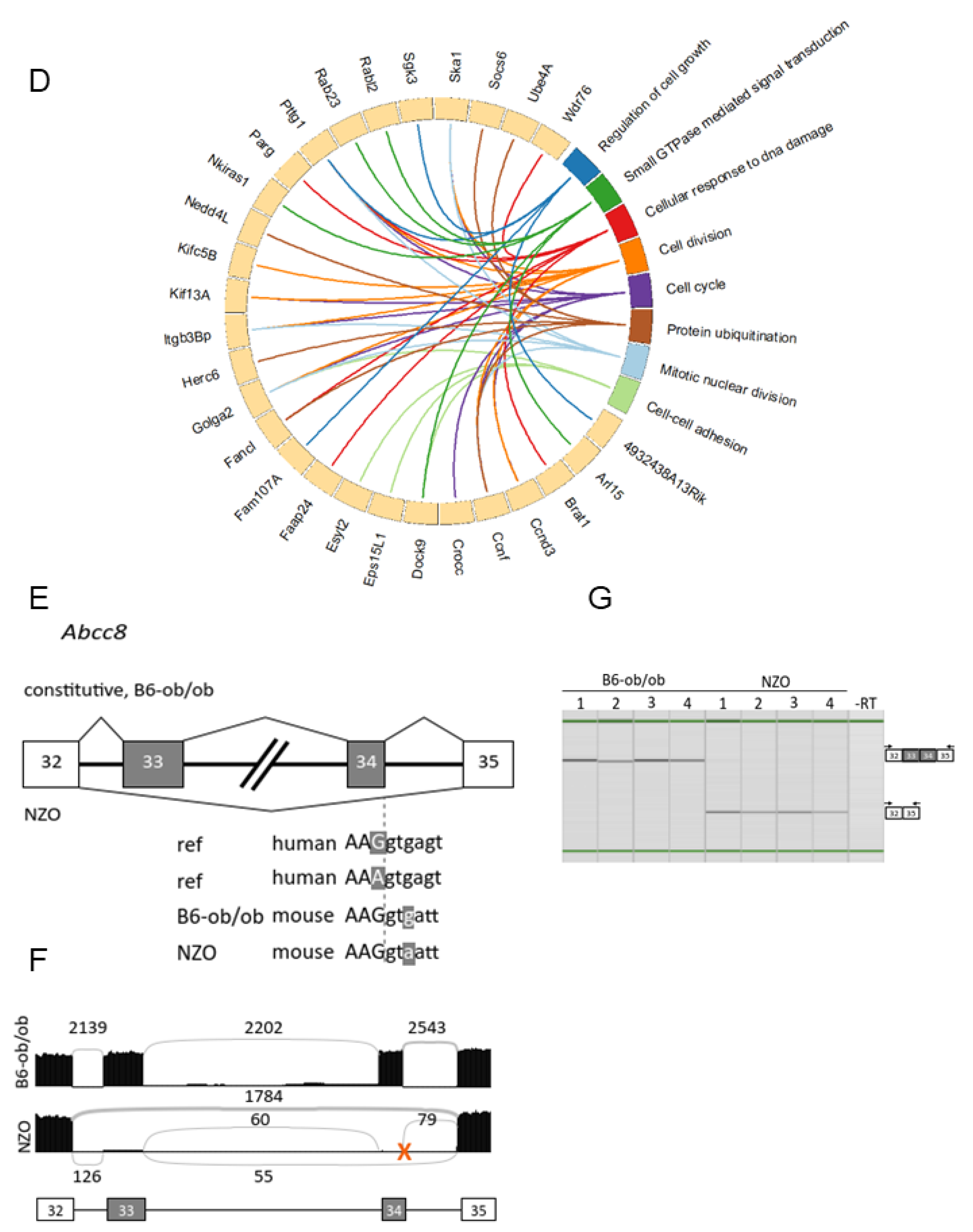Ijms 22 08597 g005b 550