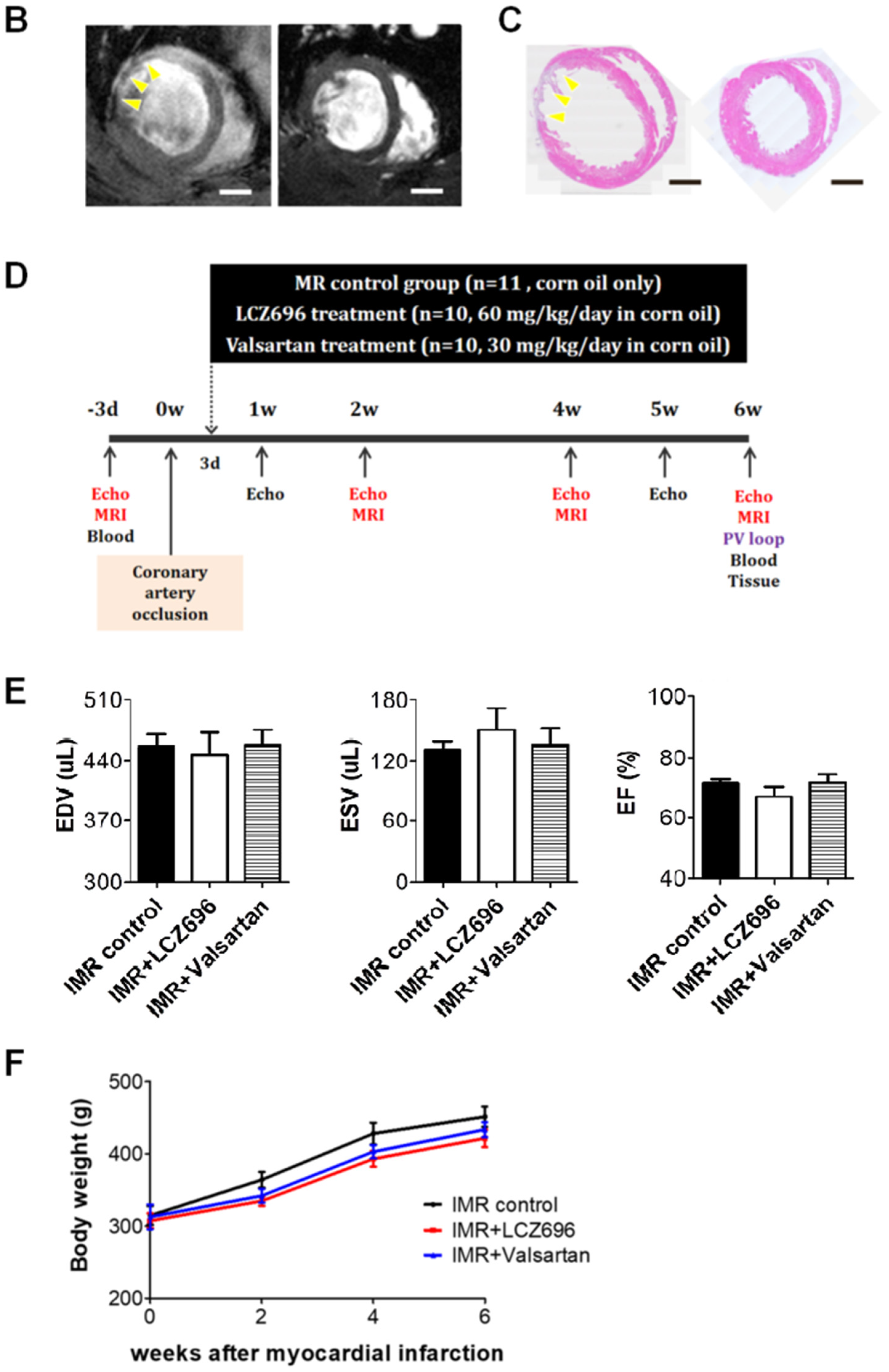 Ijms 22 08598 g001b 550