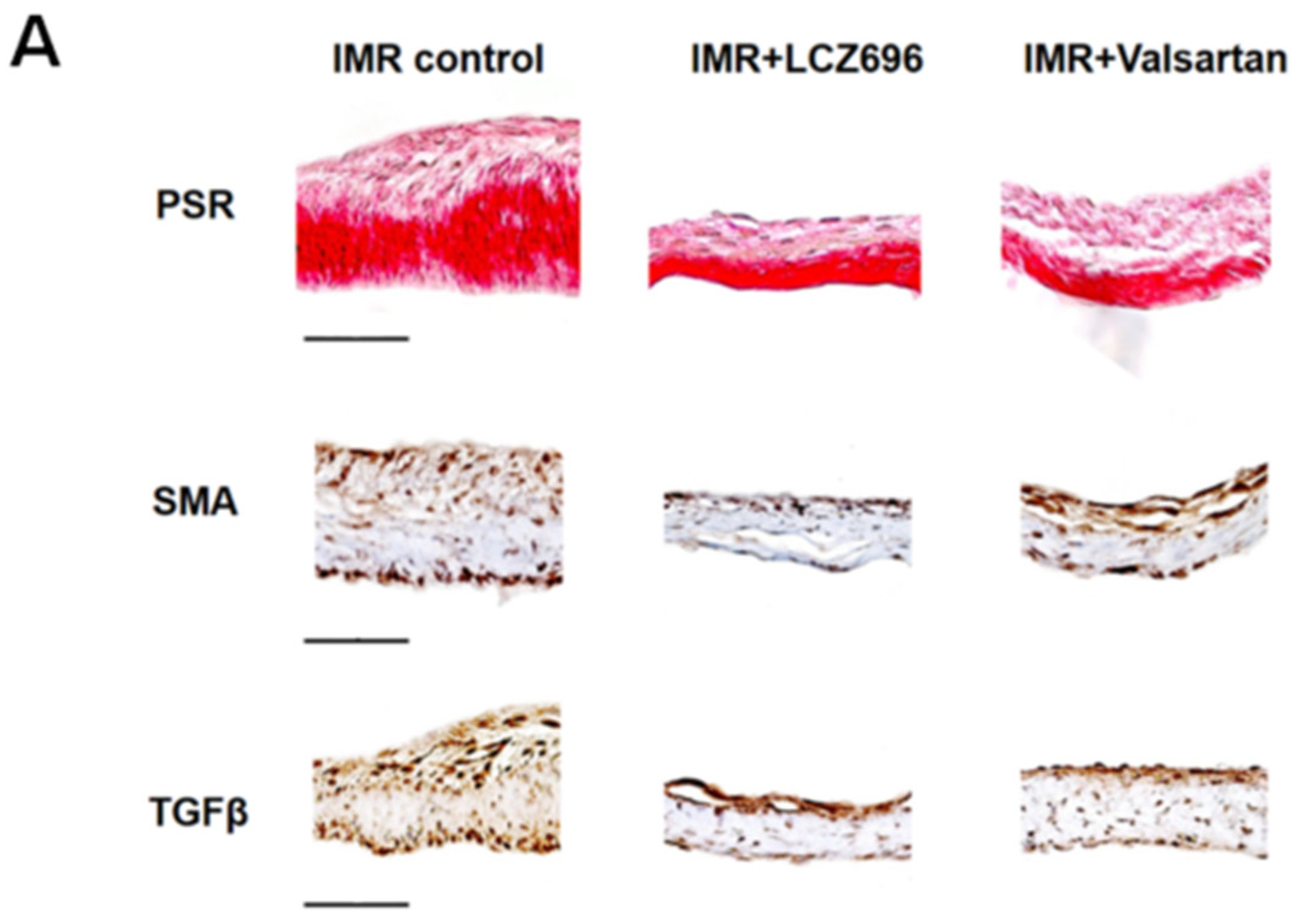 Ijms 22 08598 g003a 550