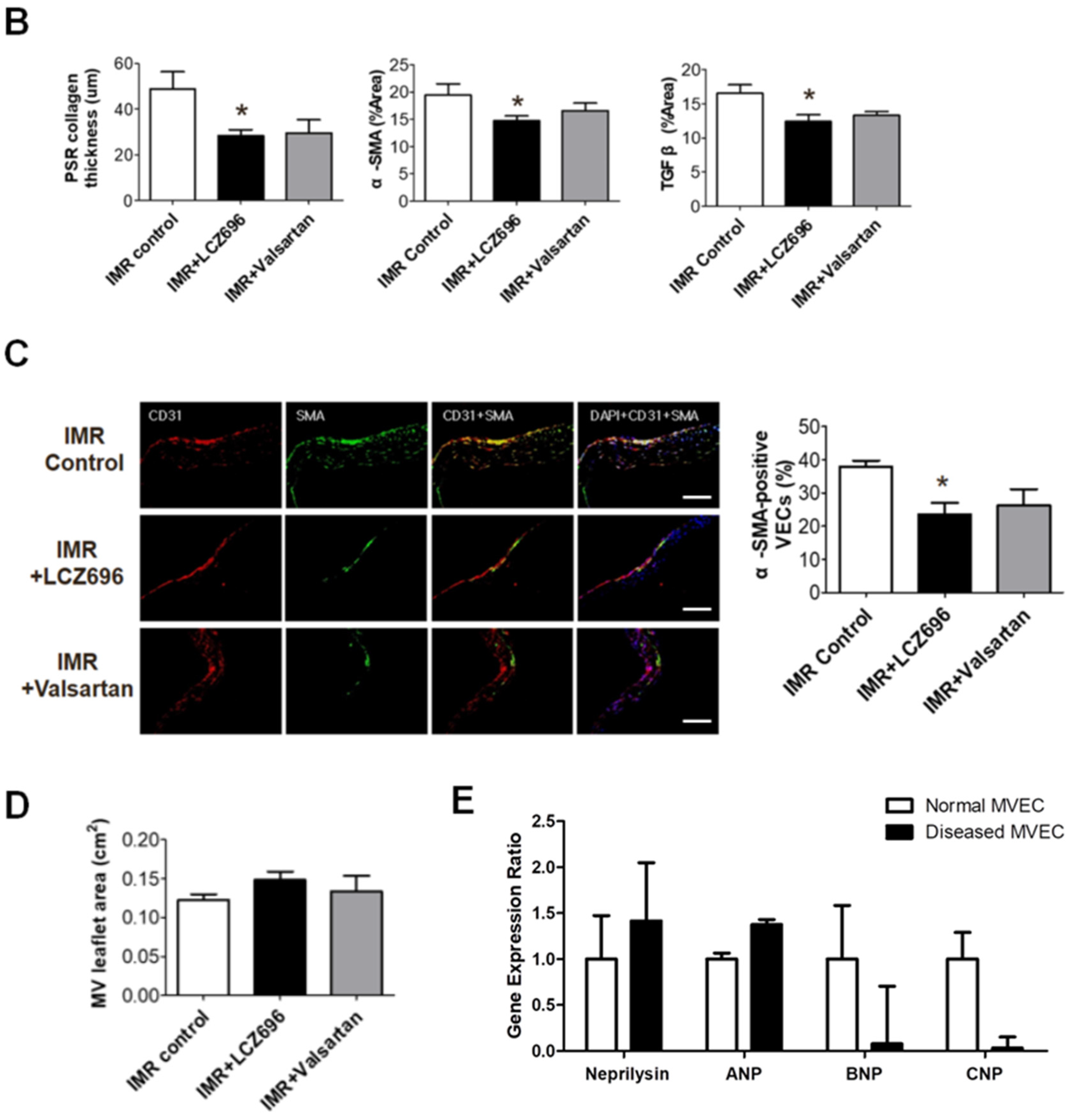 Ijms 22 08598 g003b 550