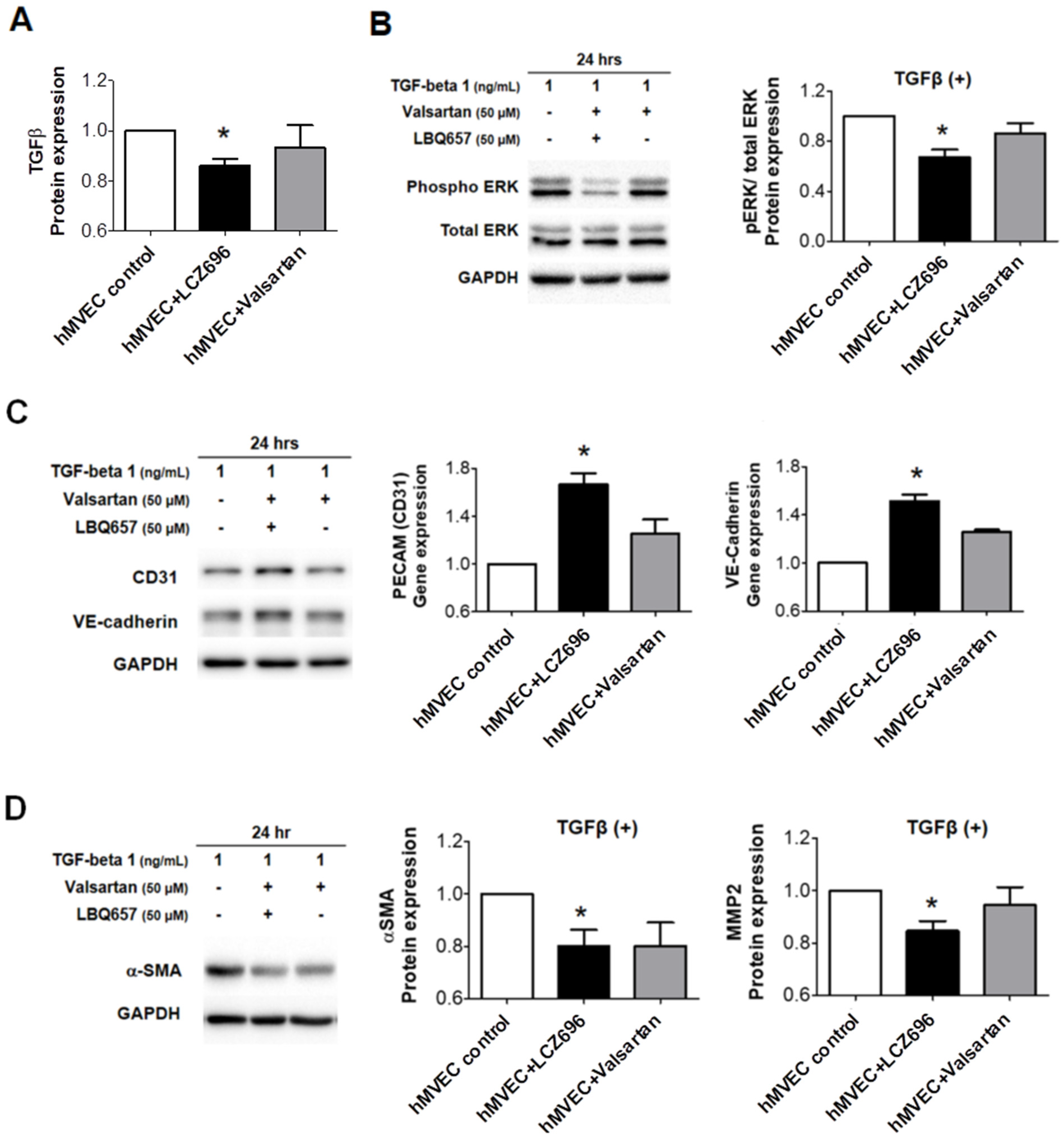 Ijms 22 08598 g004 550