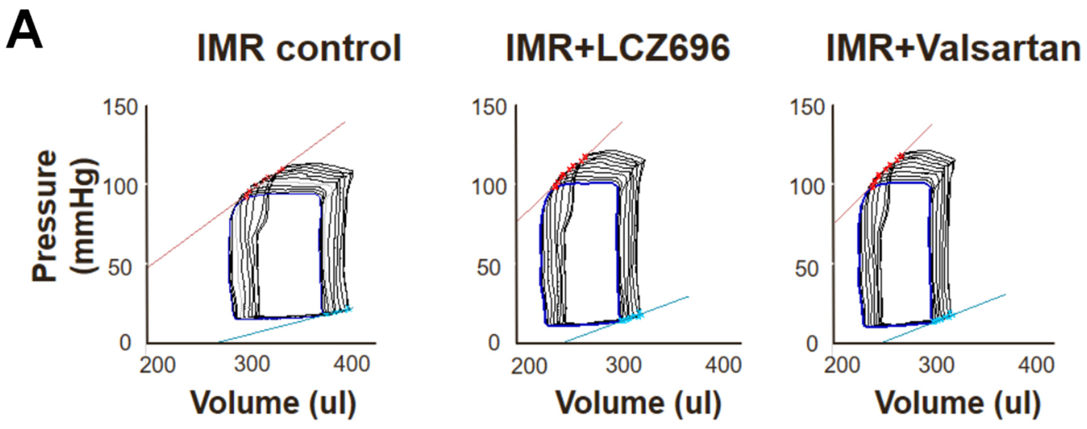 Ijms 22 08598 g006a 550