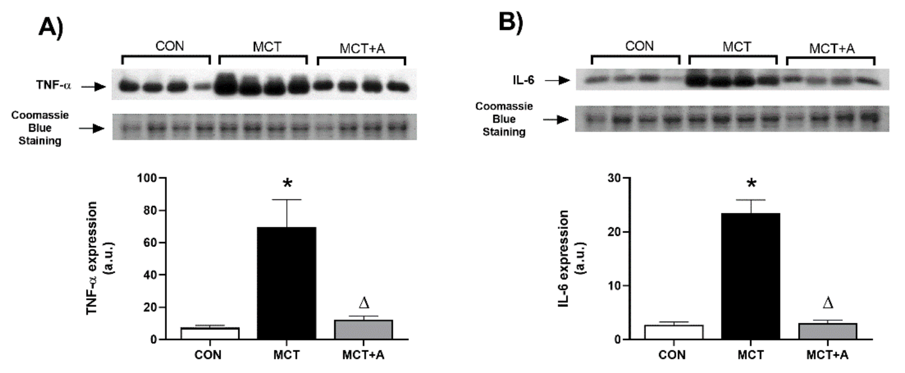 Ijms 22 08600 g008 550