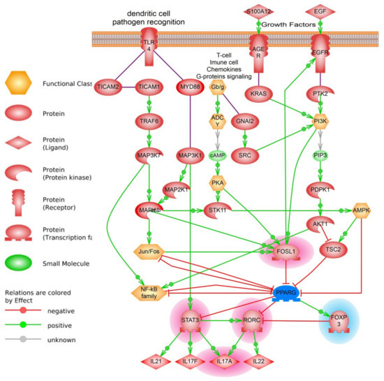Analysis of PPARγ Signaling Activity in Psoriasis