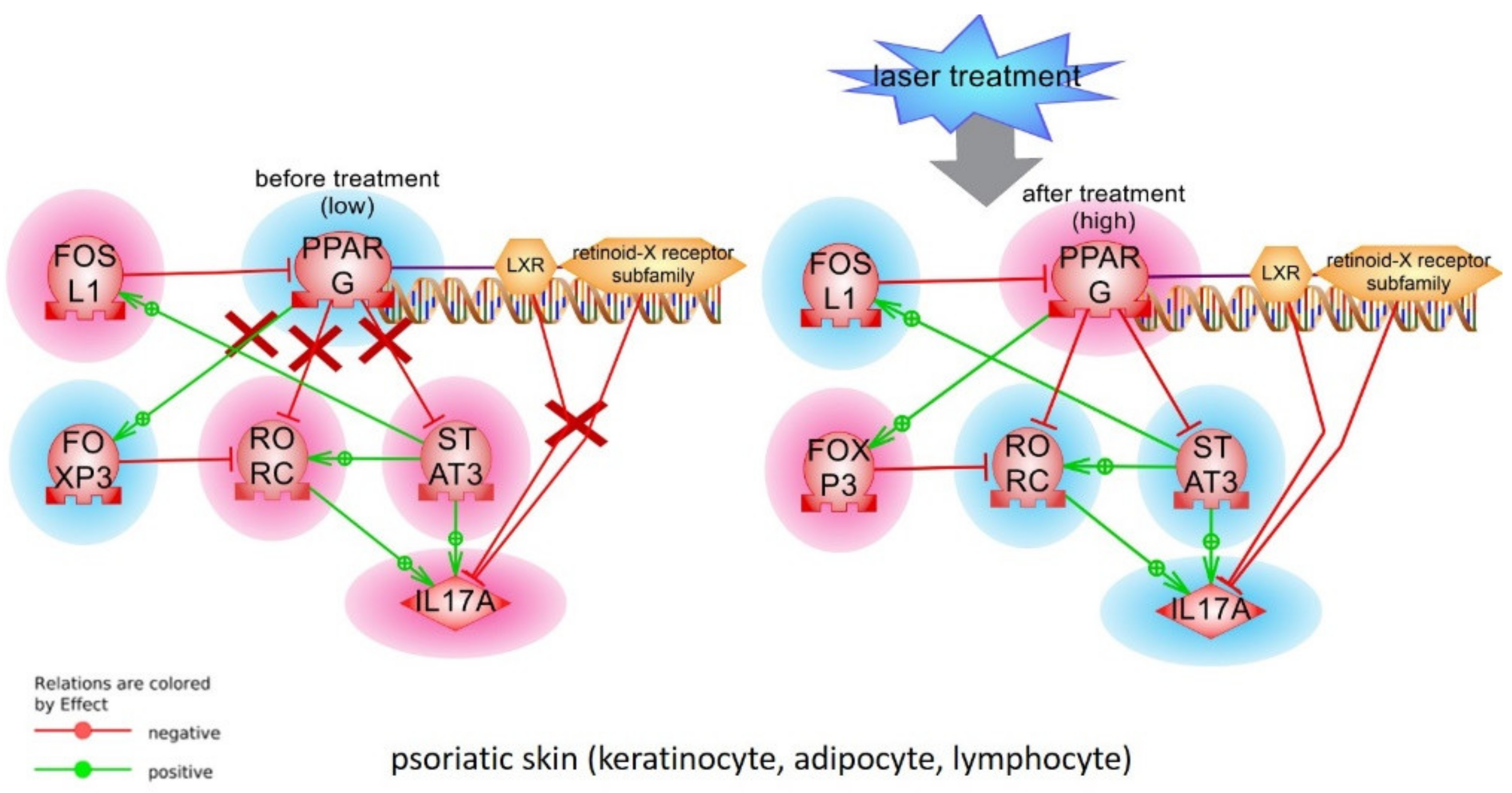 Ijms 22 08603 g008 Ijms 22 08603 g008