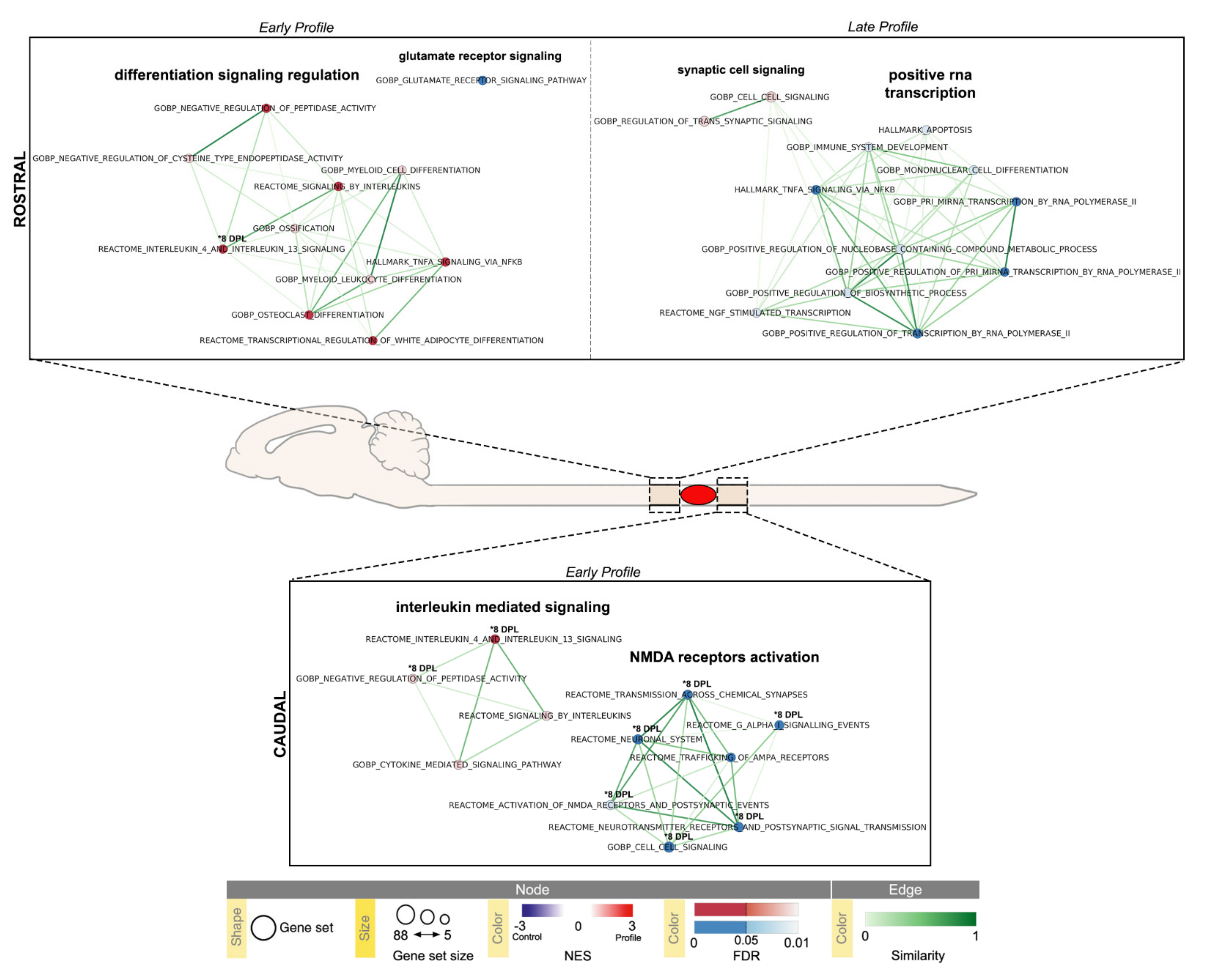 Ijms 22 08606 g006 Ijms 22 08606 g006
