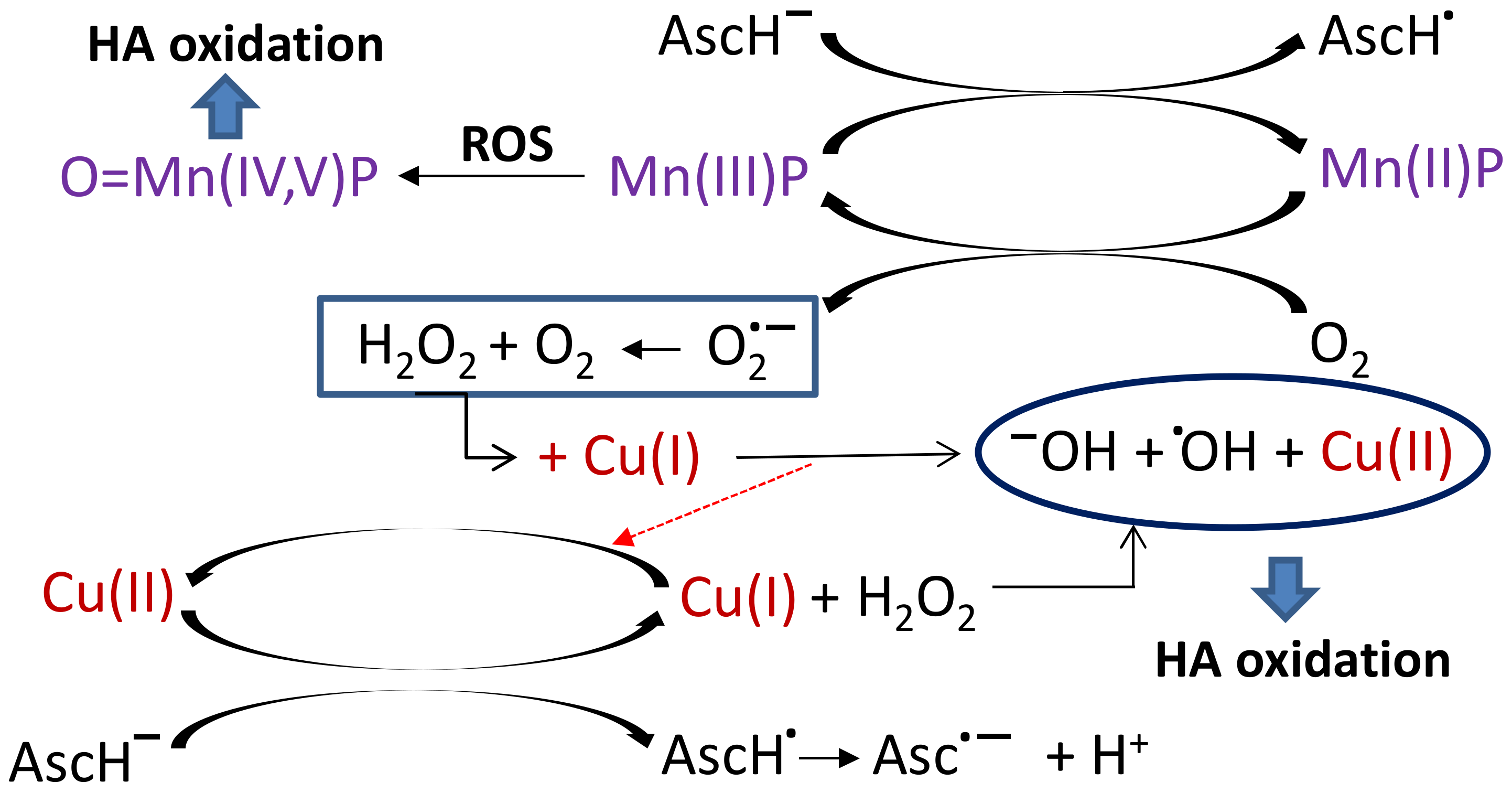 Ijms 22 08608 sch001 550