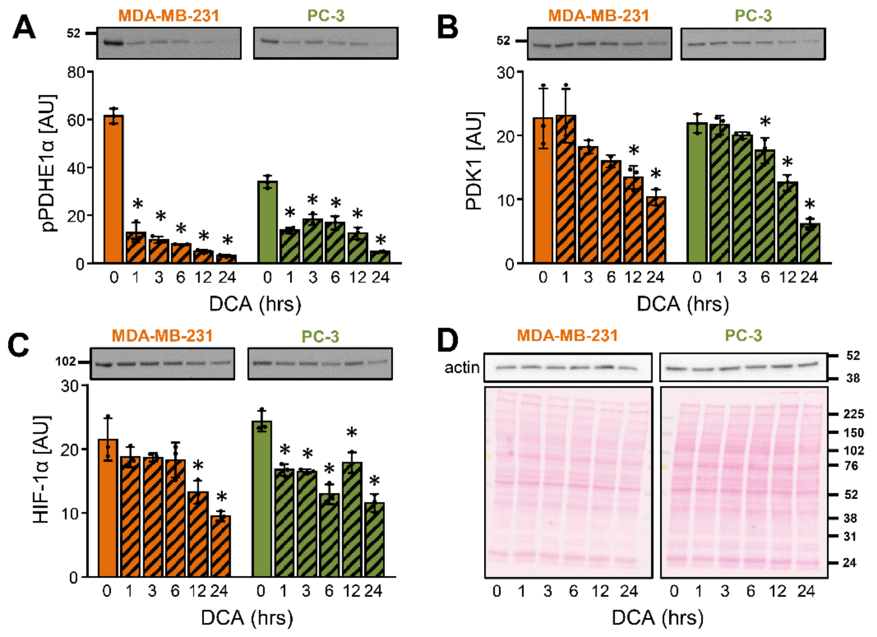 Ijms 22 08610 g002 Ijms 22 08610 g002
