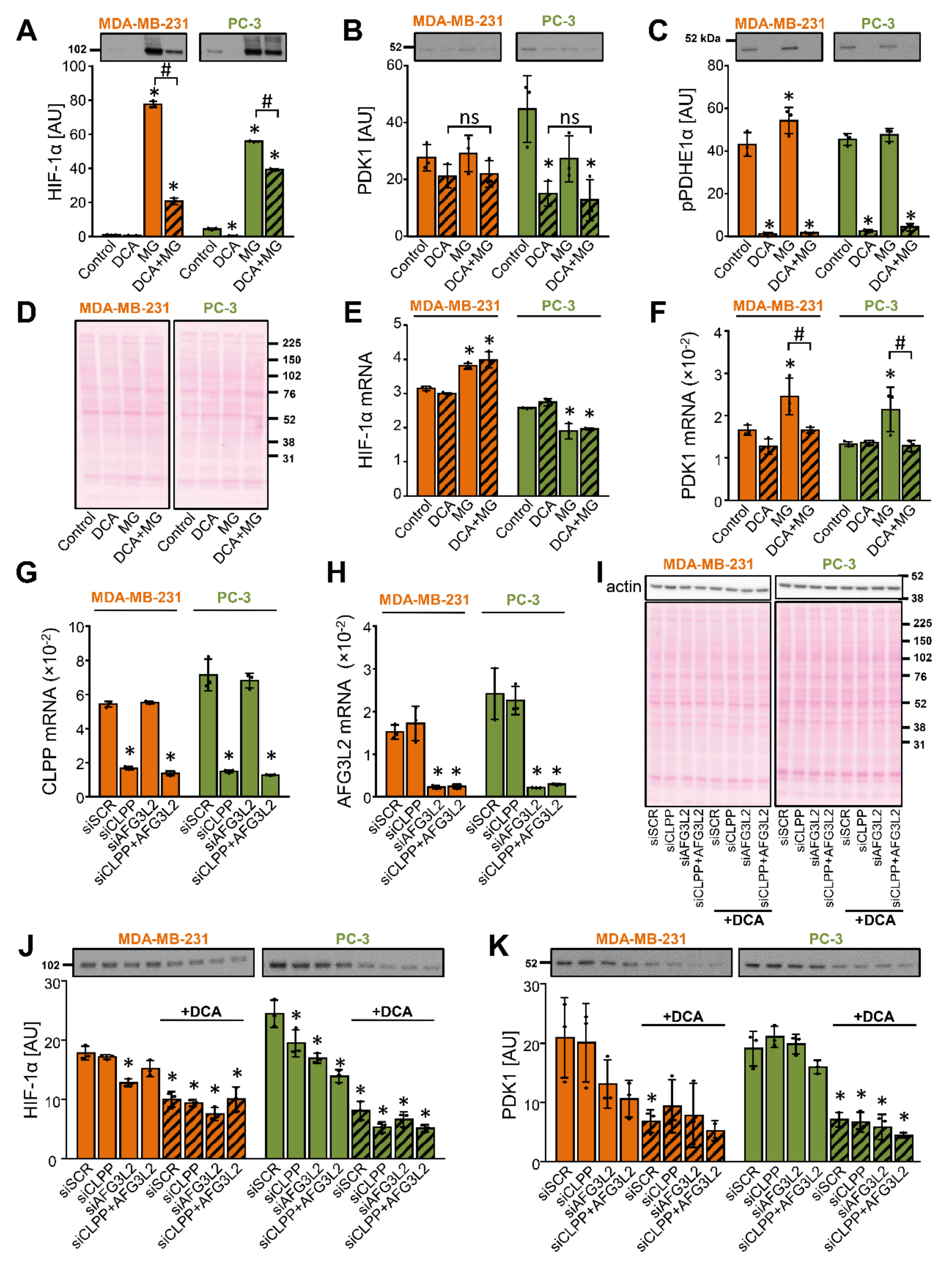 Ijms 22 08610 g006 Ijms 22 08610 g006