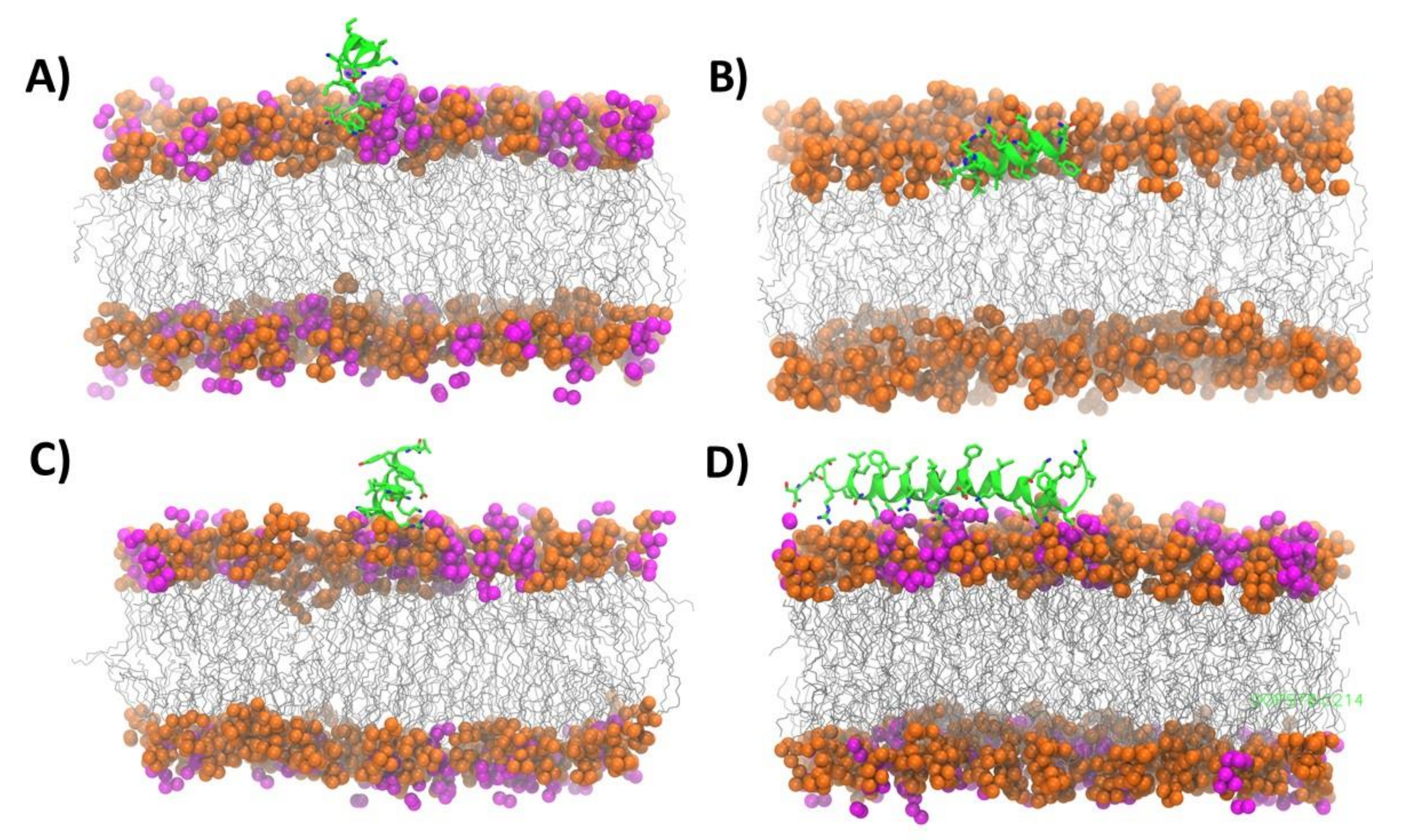 Ijms 22 08613 g006 Ijms 22 08613 g006