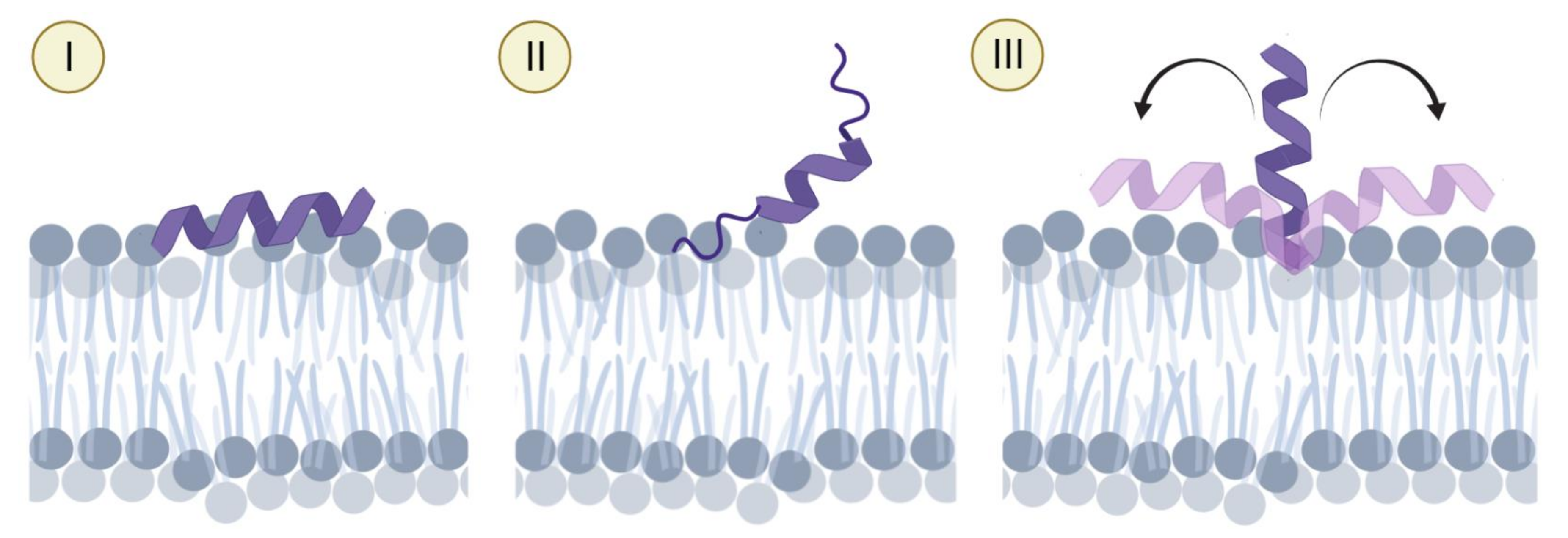 Ijms 22 08613 sch002 Ijms 22 08613 sch002