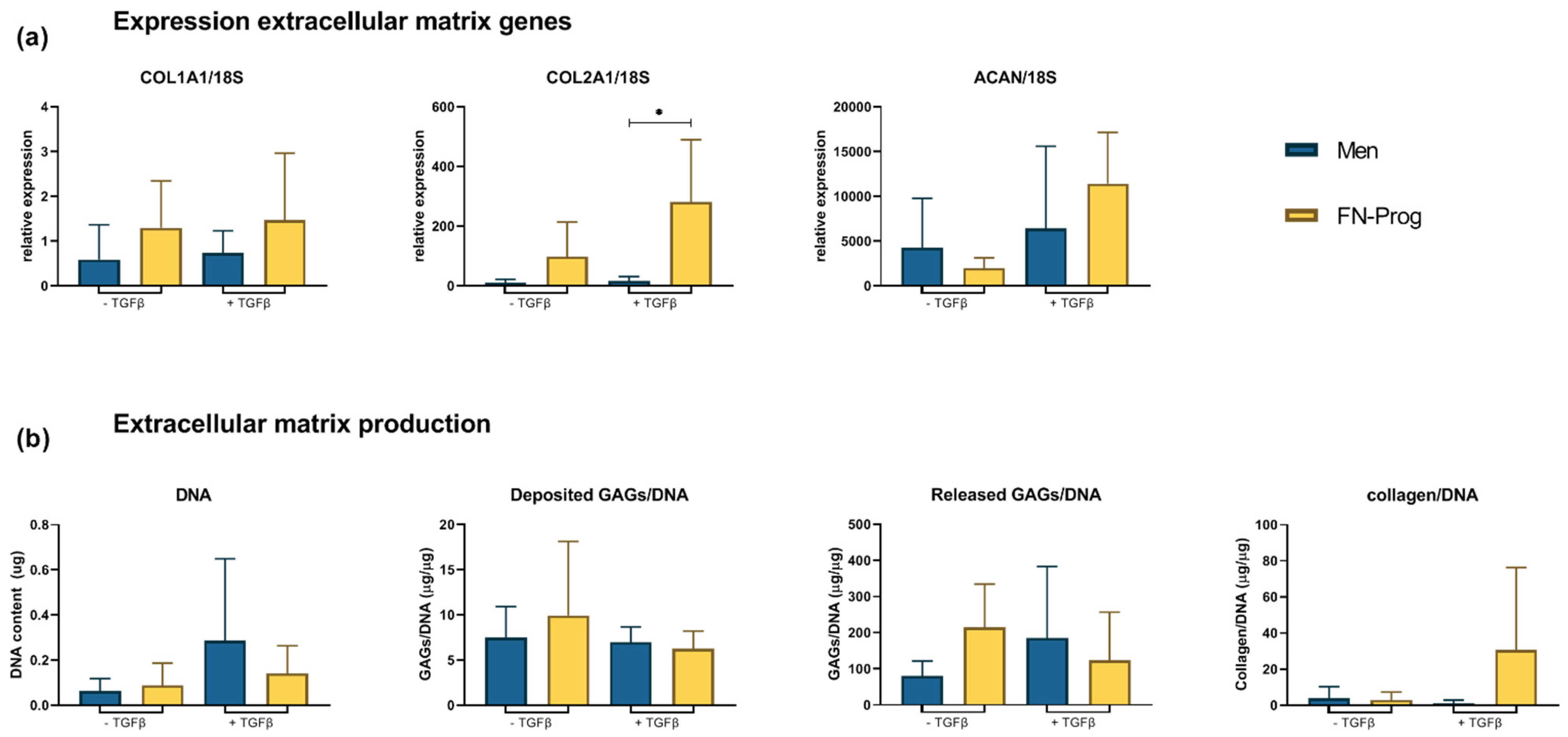 Ijms 22 08614 g004 Ijms 22 08614 g004