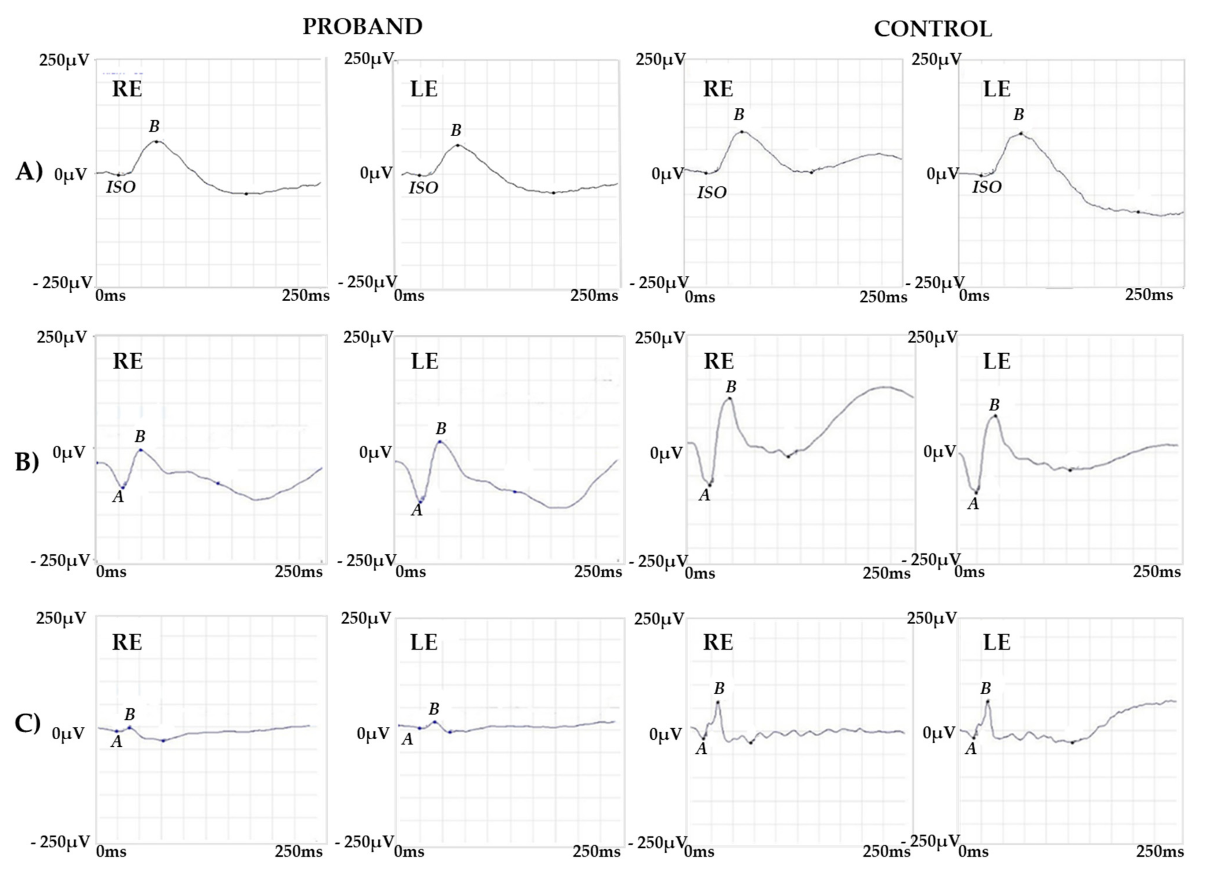 Ijms 22 08617 g002 Ijms 22 08617 g002