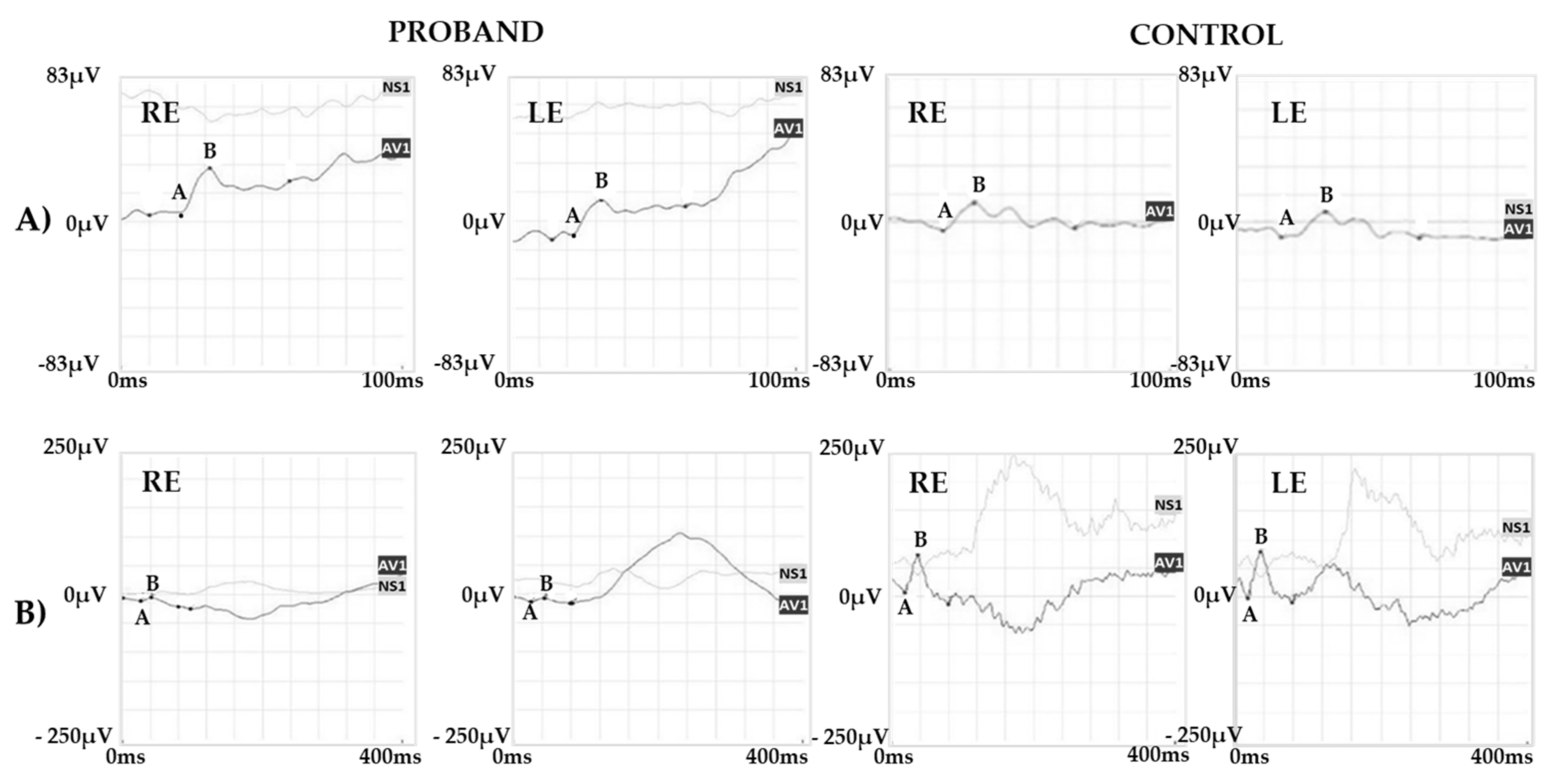 Ijms 22 08617 g003 Ijms 22 08617 g003