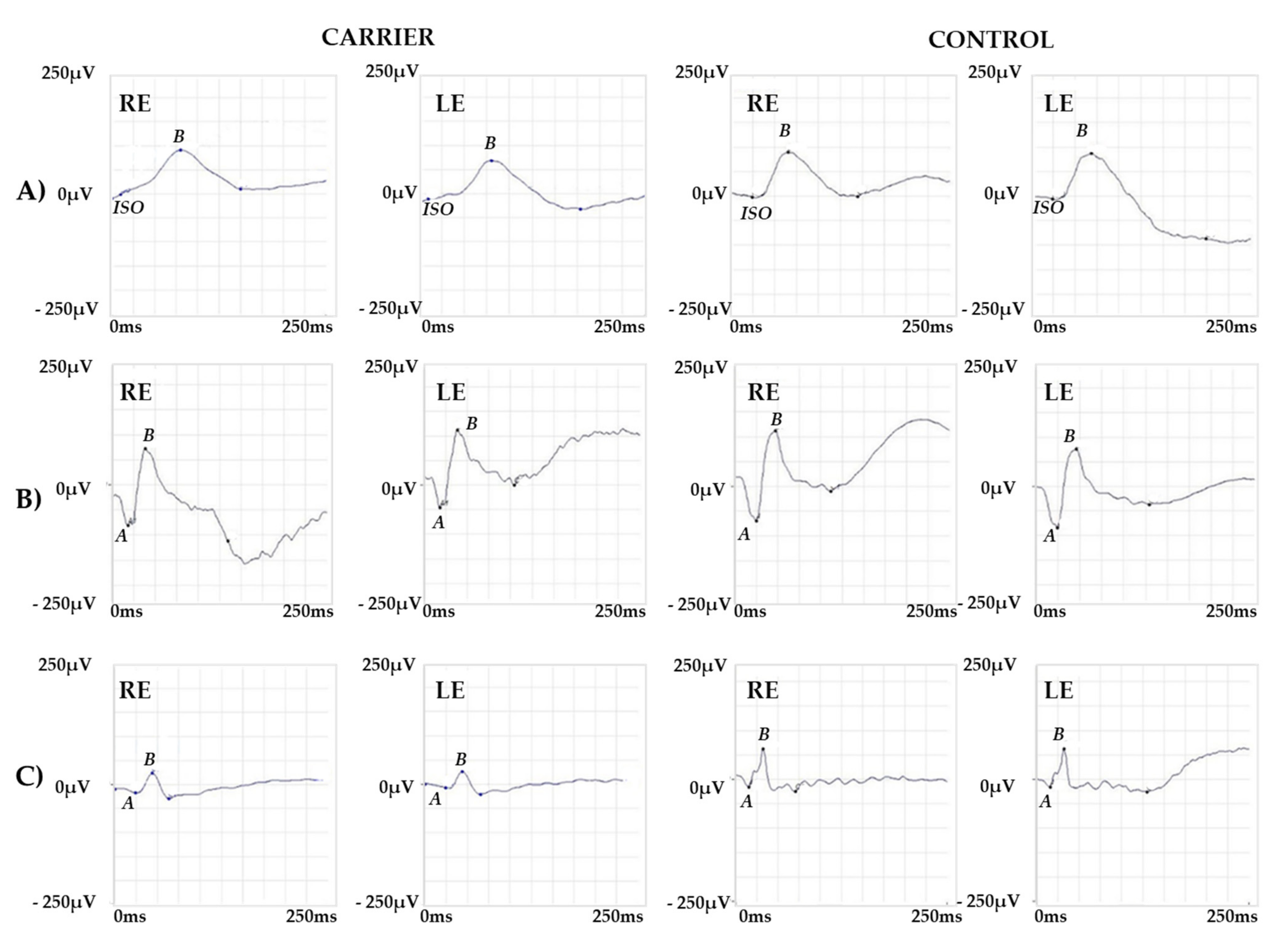 Ijms 22 08617 g005 Ijms 22 08617 g005