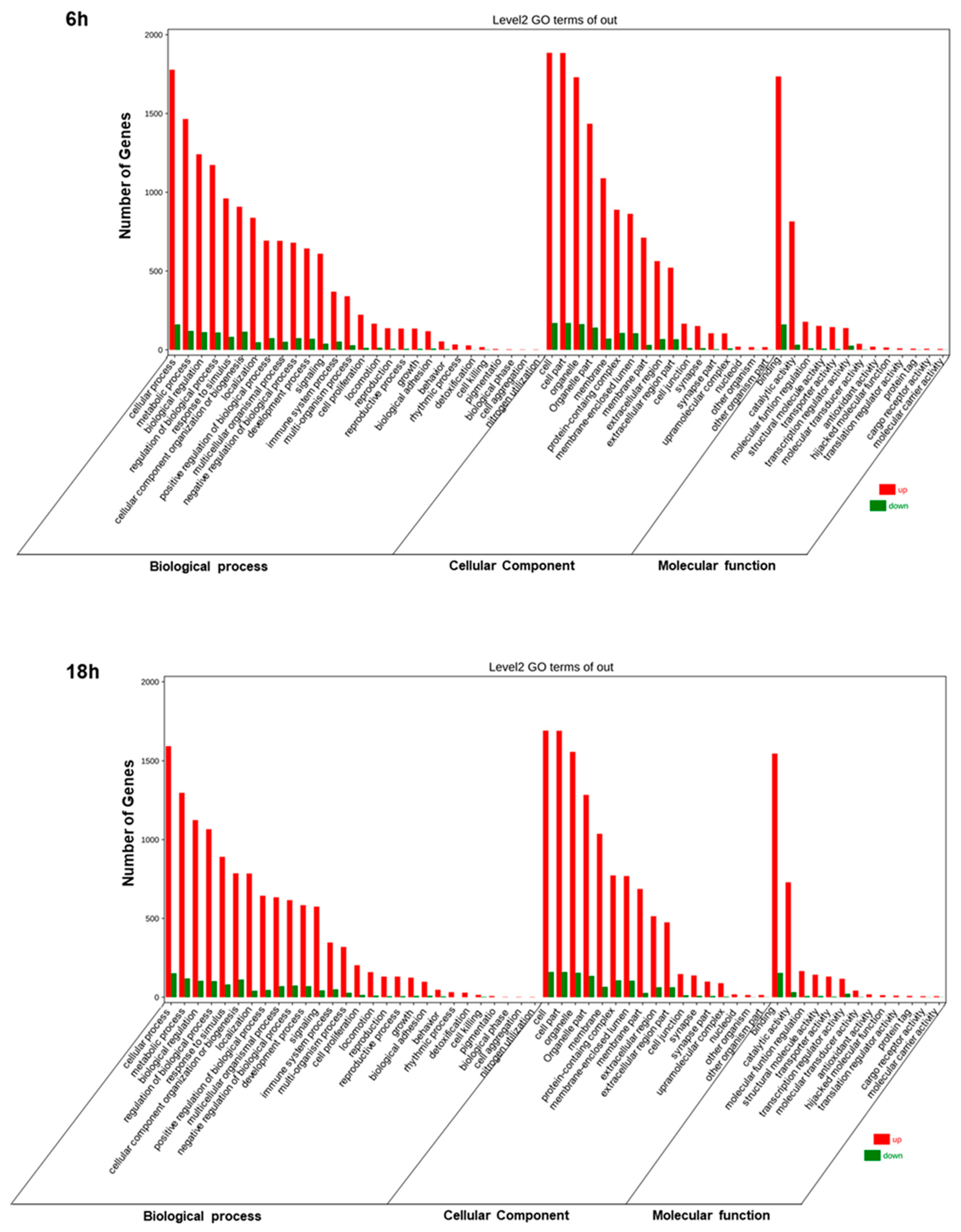 Ijms 22 08621 g007 550