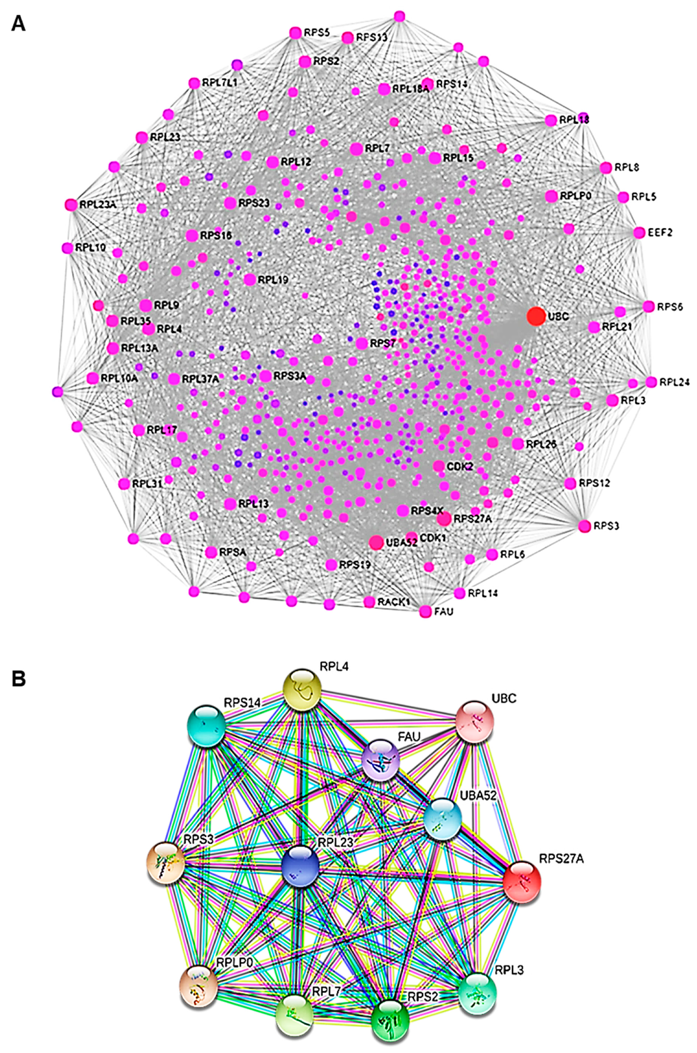 Ijms 22 08621 g009 550