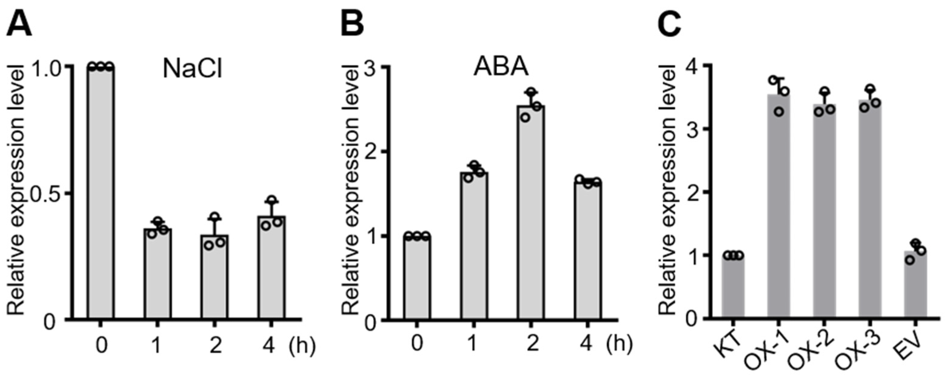 Ijms 22 08625 g001 550