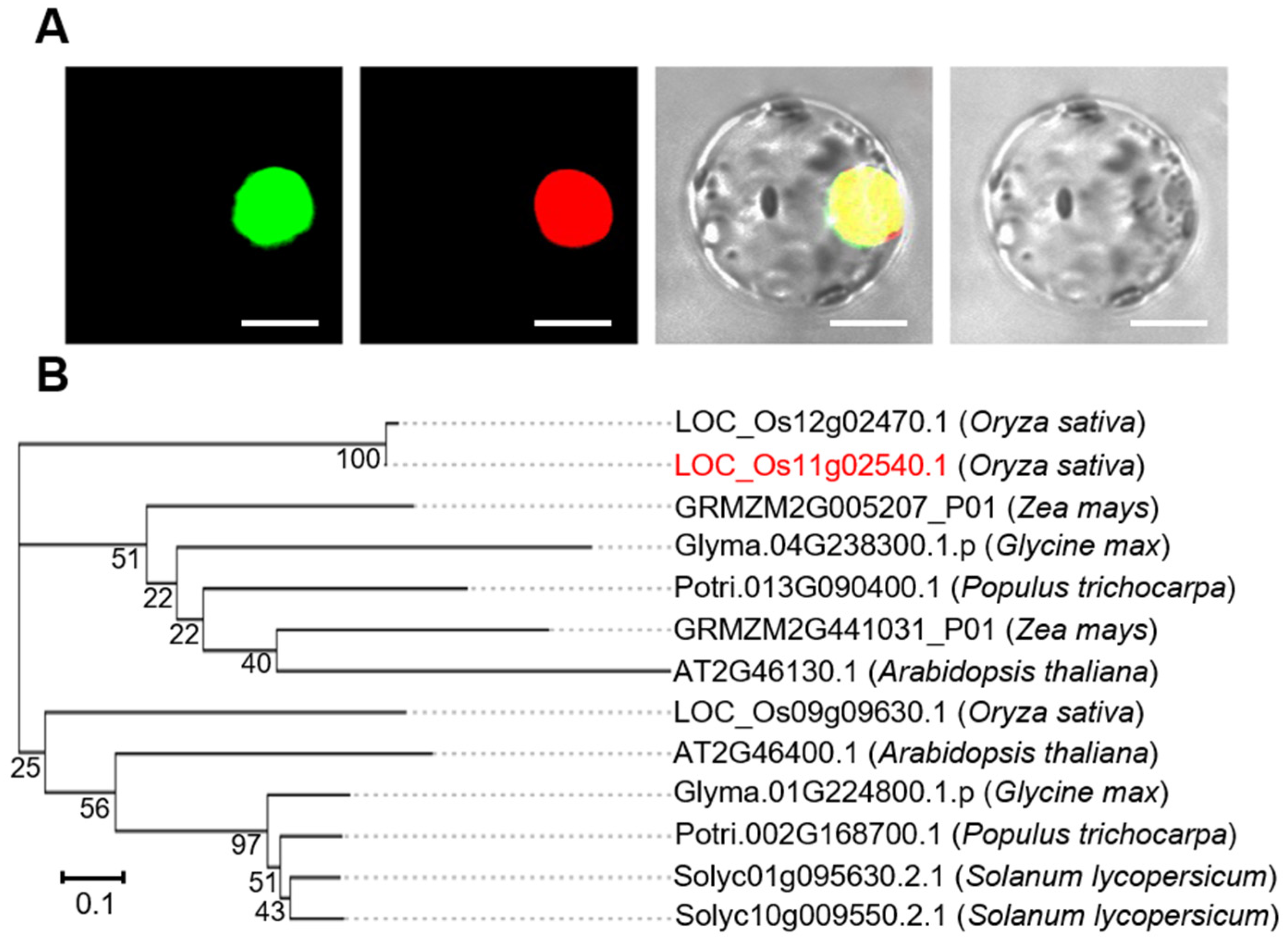 Ijms 22 08625 g002 550